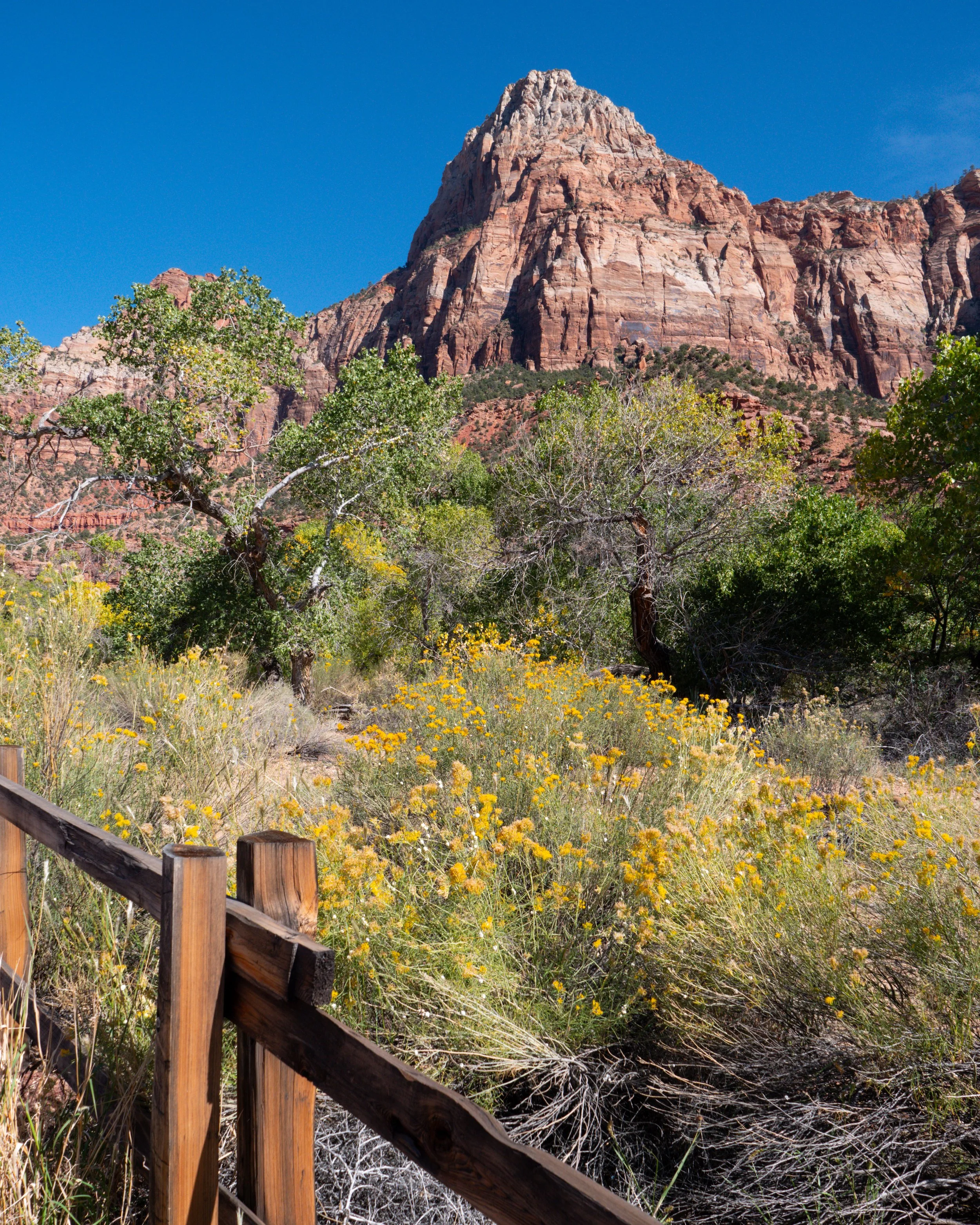 Zion National Park Fence and East Temple