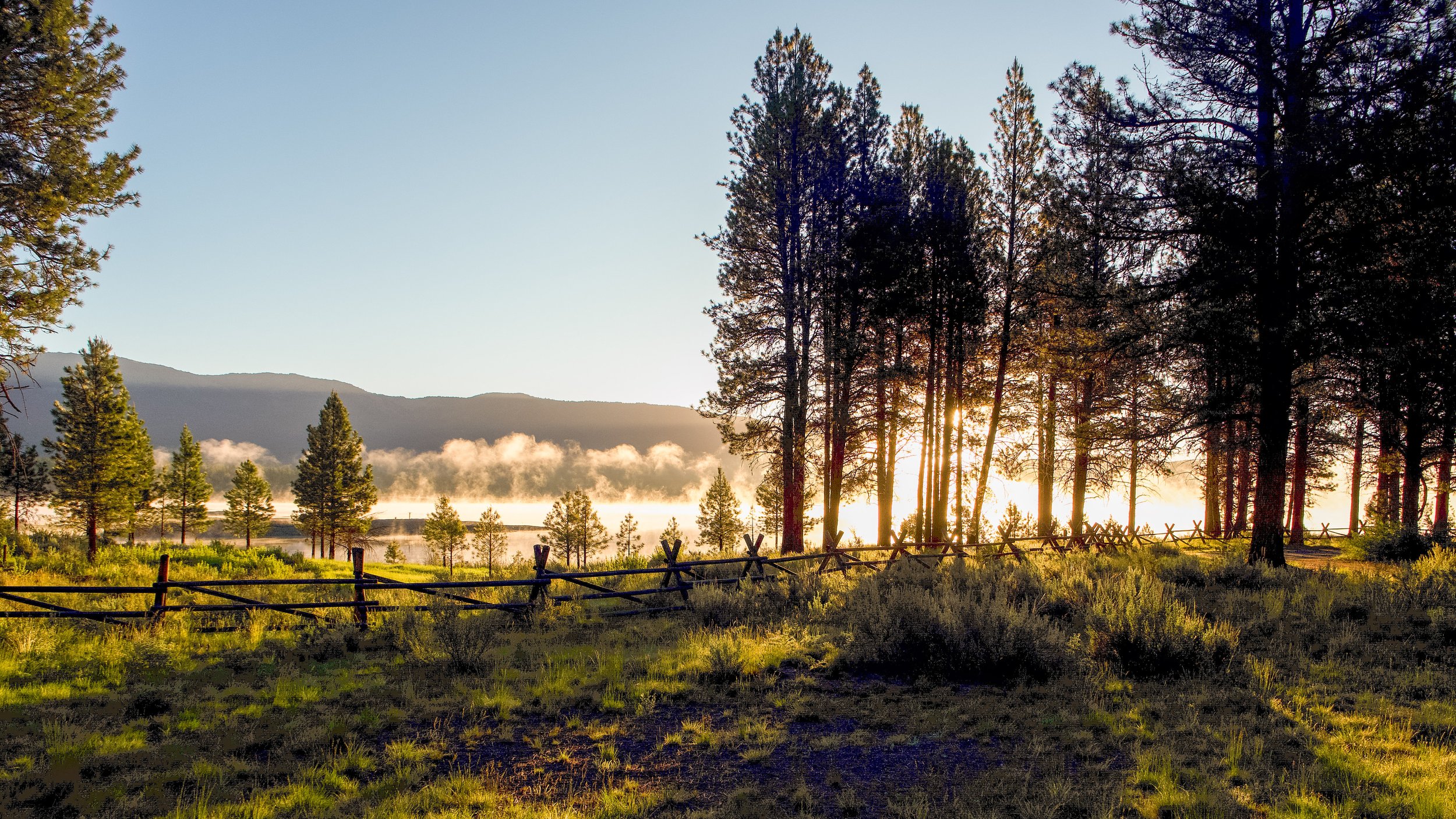 Early Morning Fog and Fence on Phillips Lake 16X9