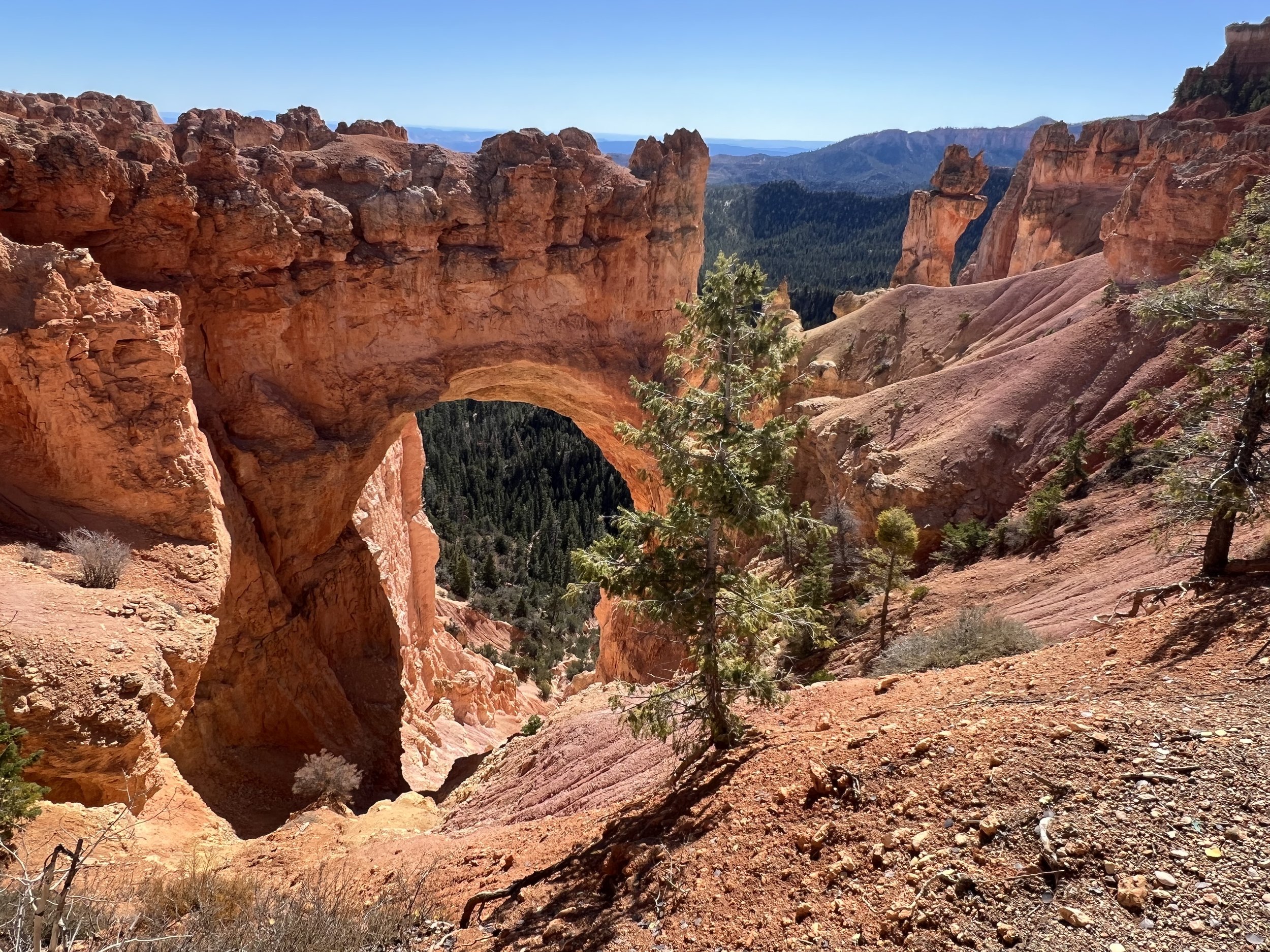 Natural Bridge Bryce Canyon 