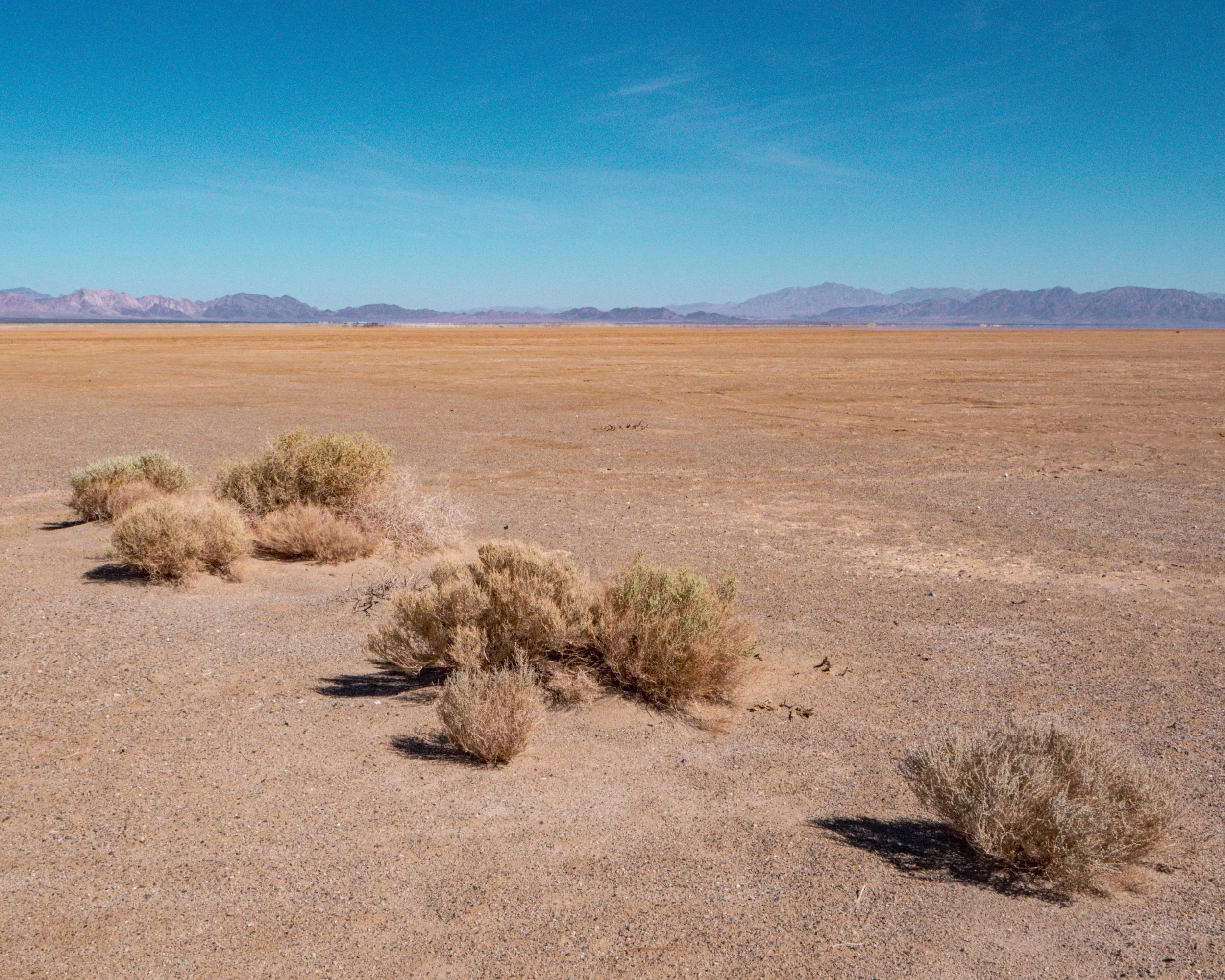 Mojave Desert Basin with Creosote Bush and Distant Mountains
