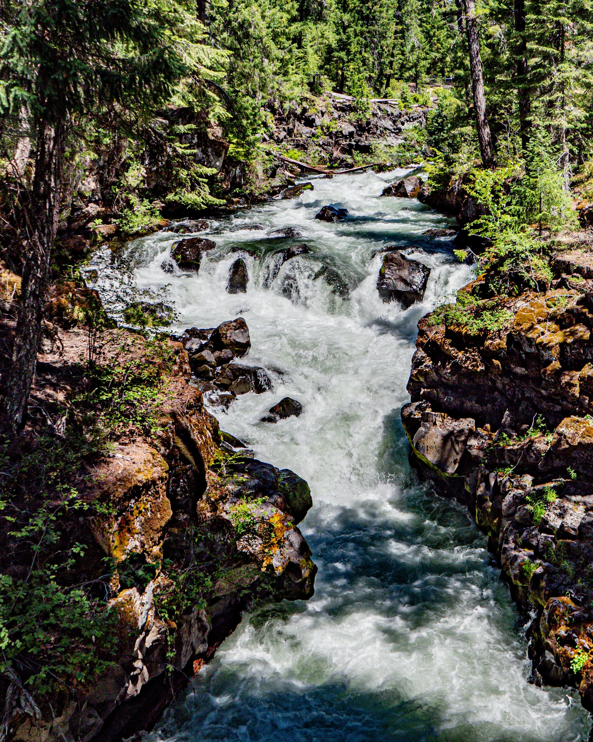 Rogue River Natural Bridge Rapids