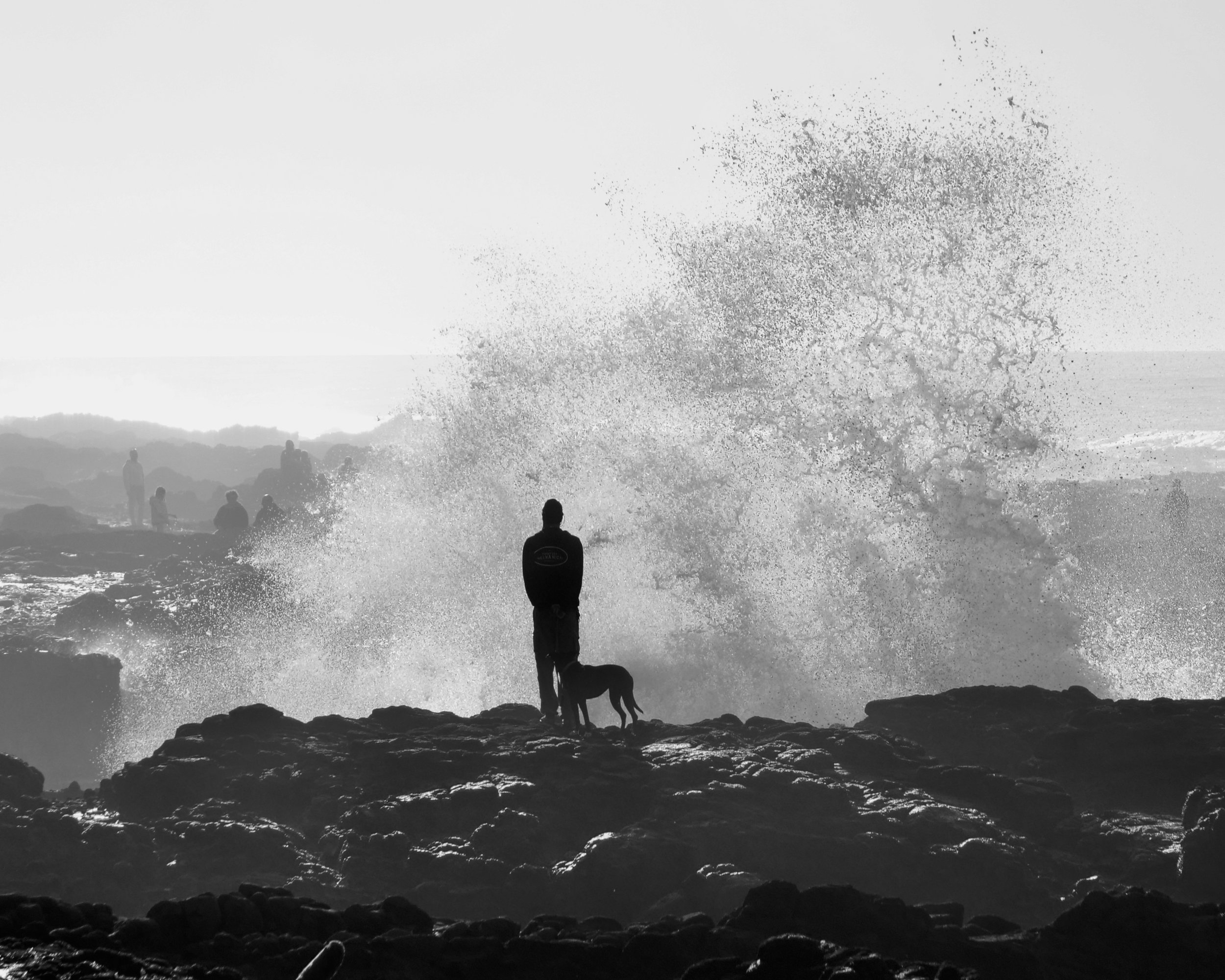 Man and Dog Large Crashing Wave