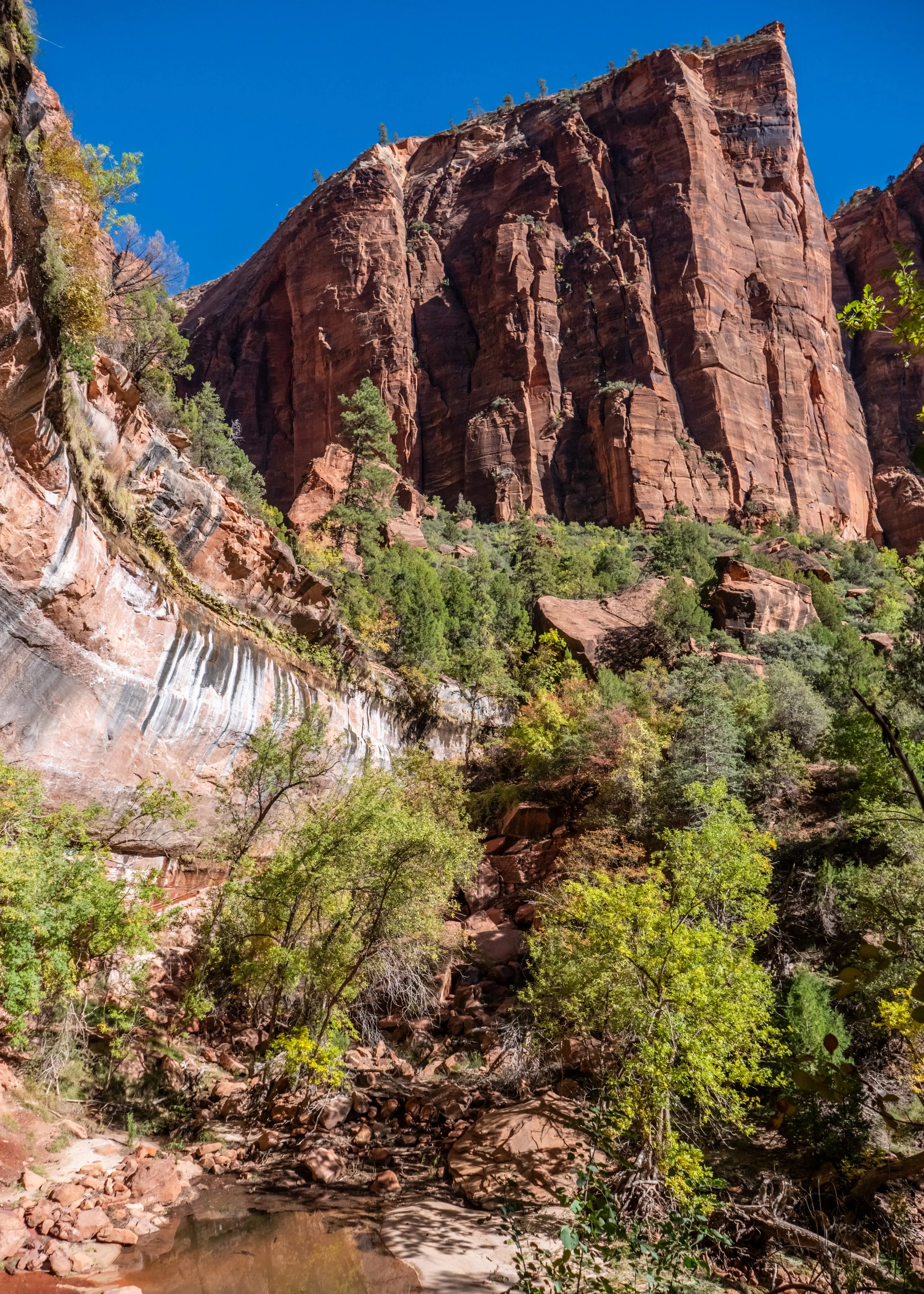 Emerald Pool among Canyon Walls Zion National Park