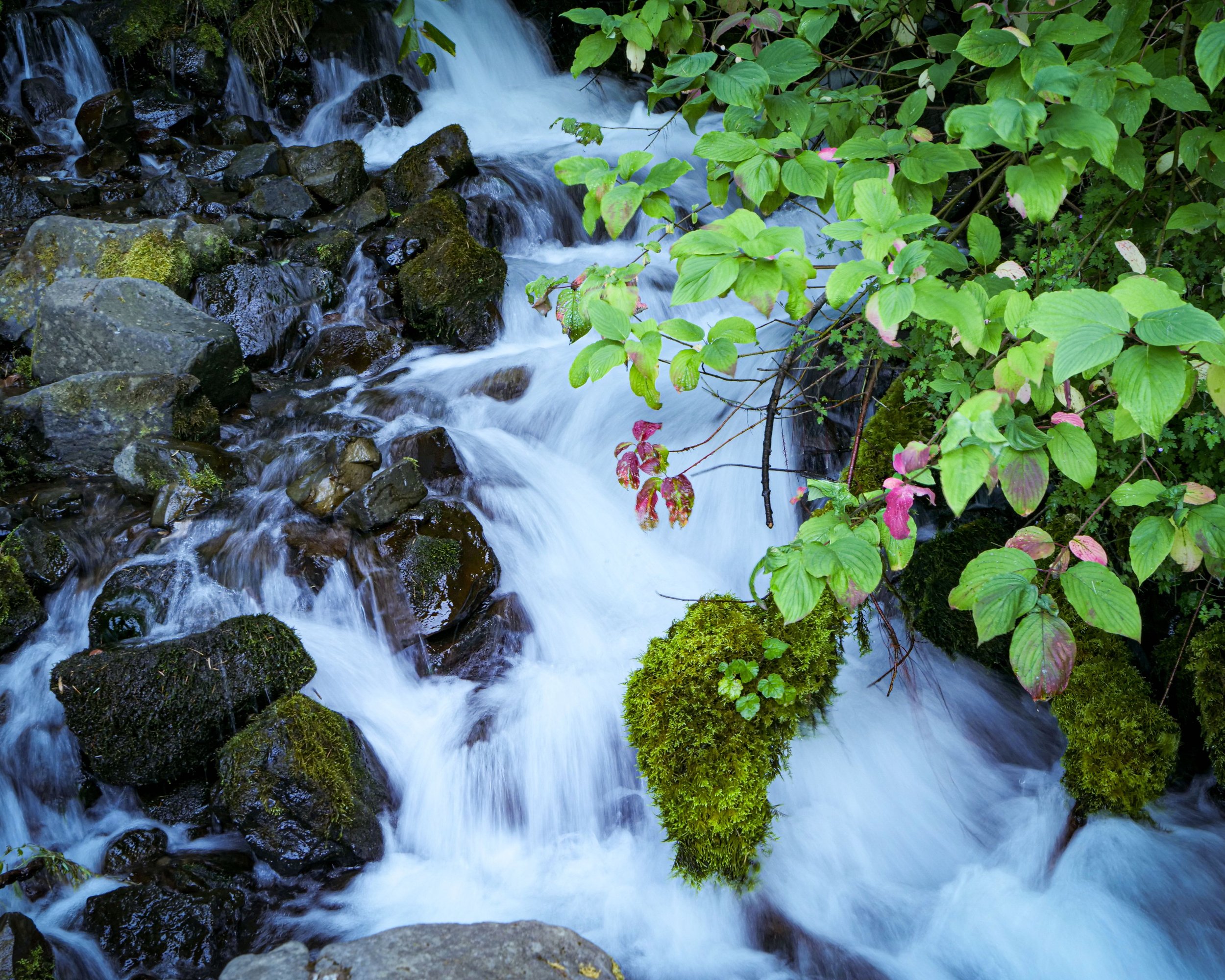 Small Mountain Stream