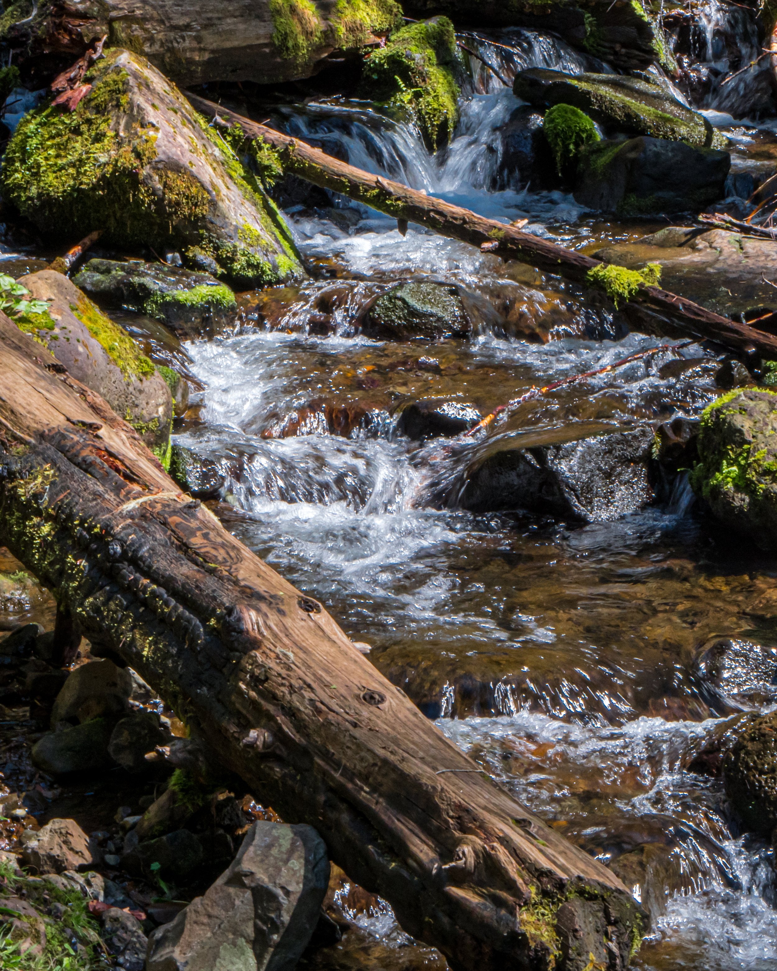Eagle Creek