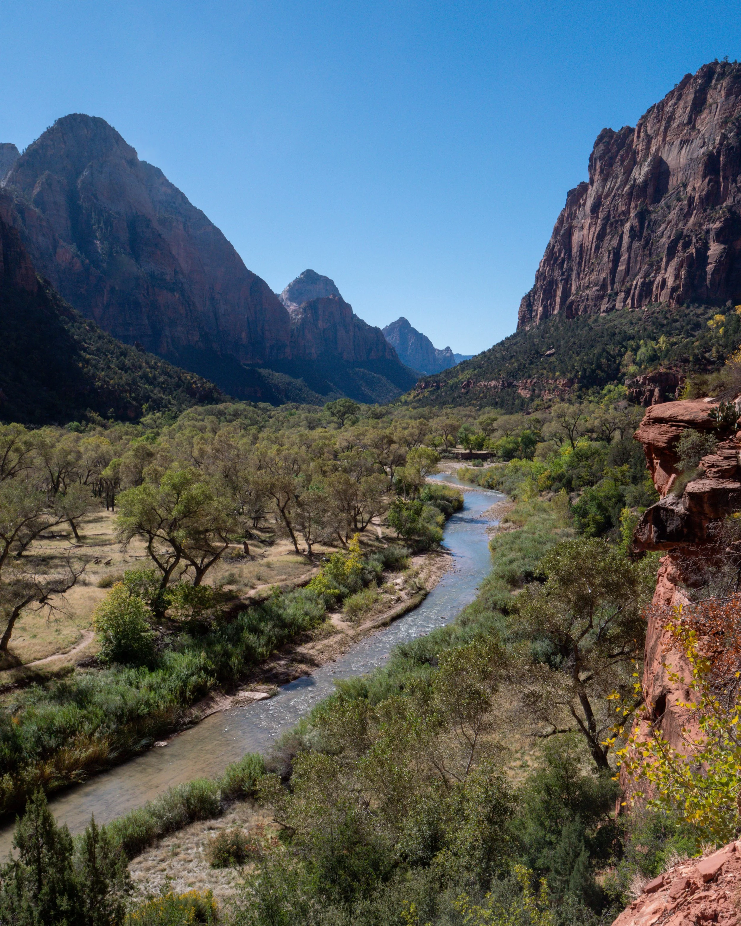 Virgin River Meandering Through Zion Canyon 