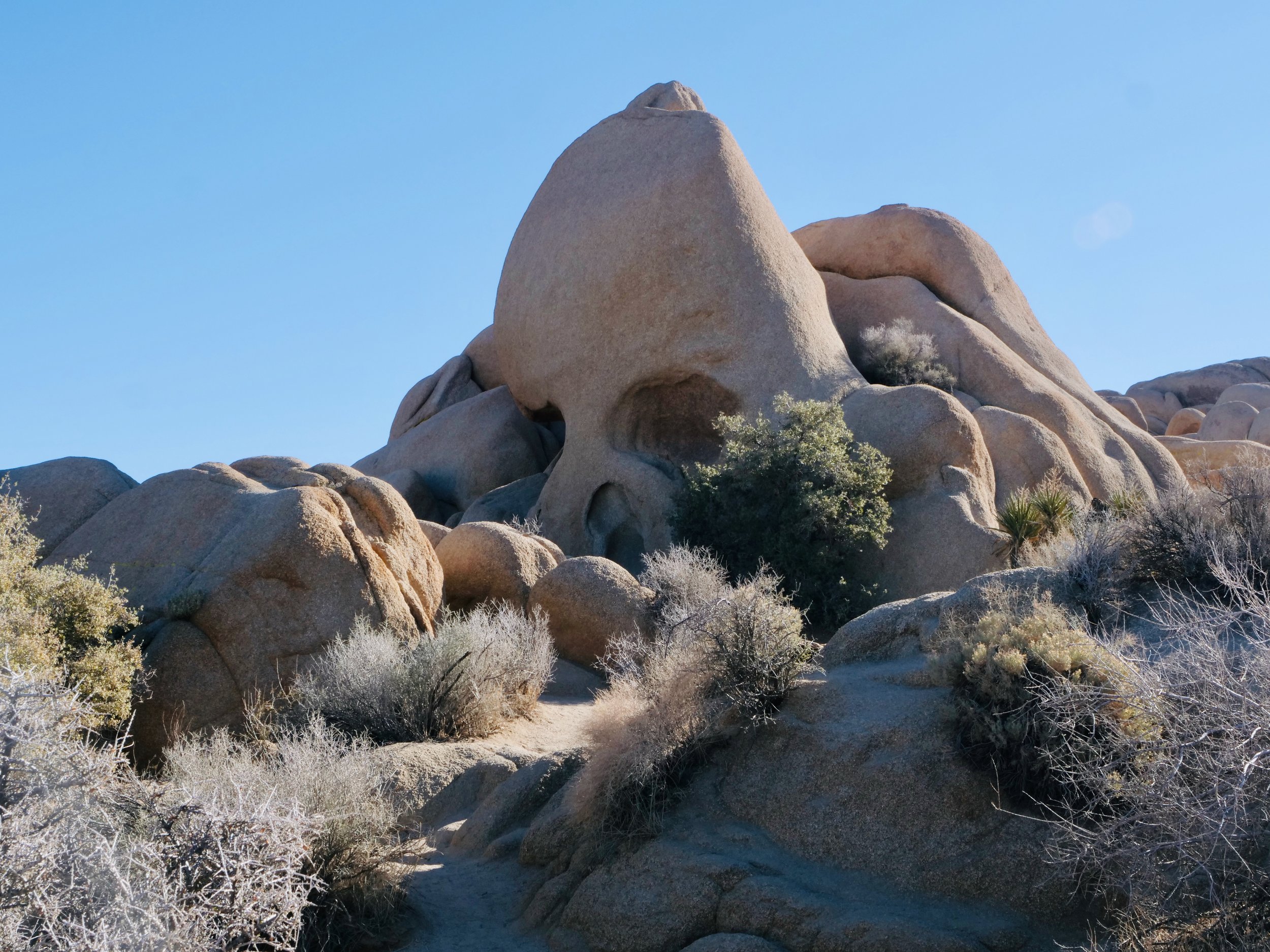 Desert, Joshua Tree Nat. Park, Skull Rock.
