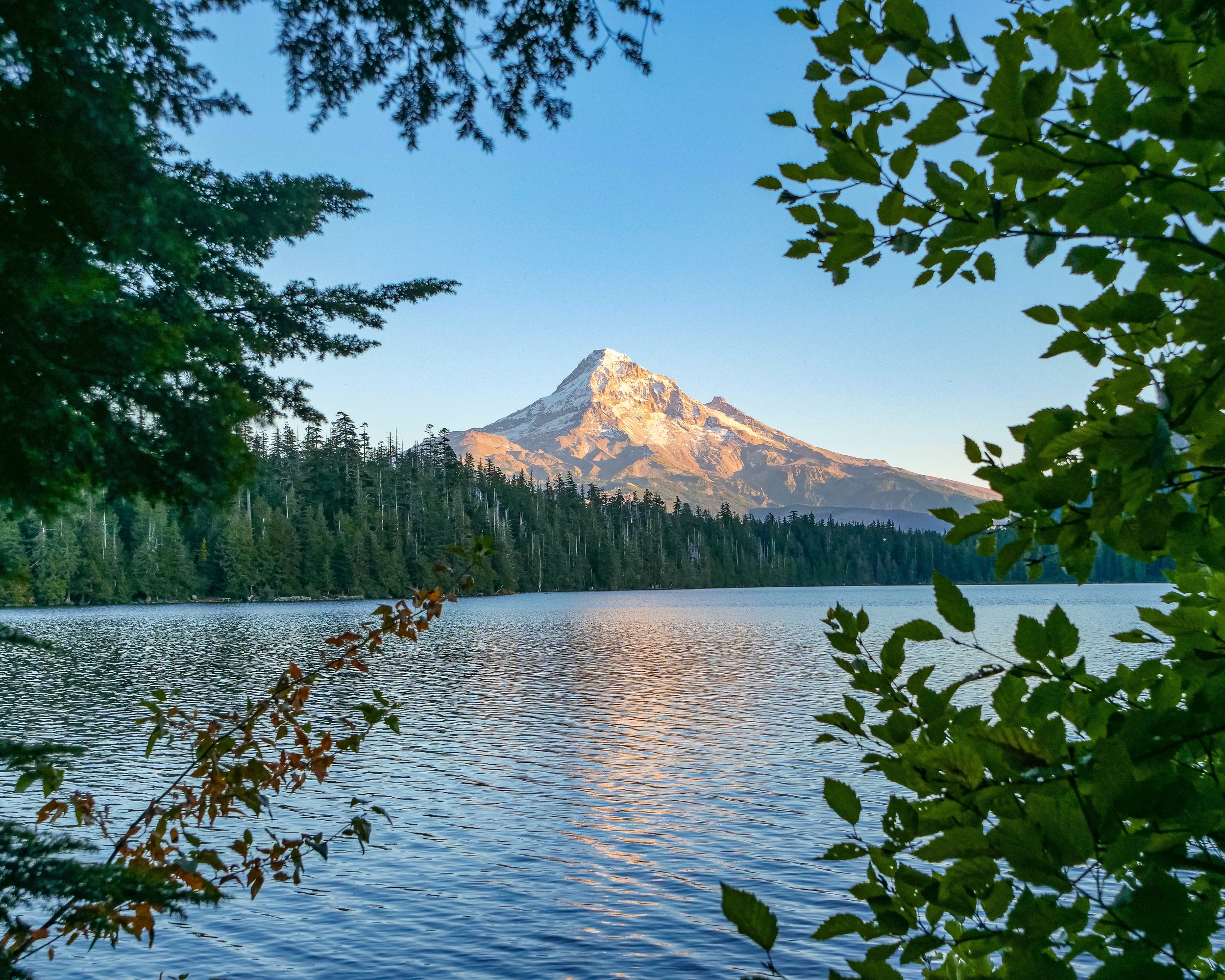 Mt. Hood and Lost Lake