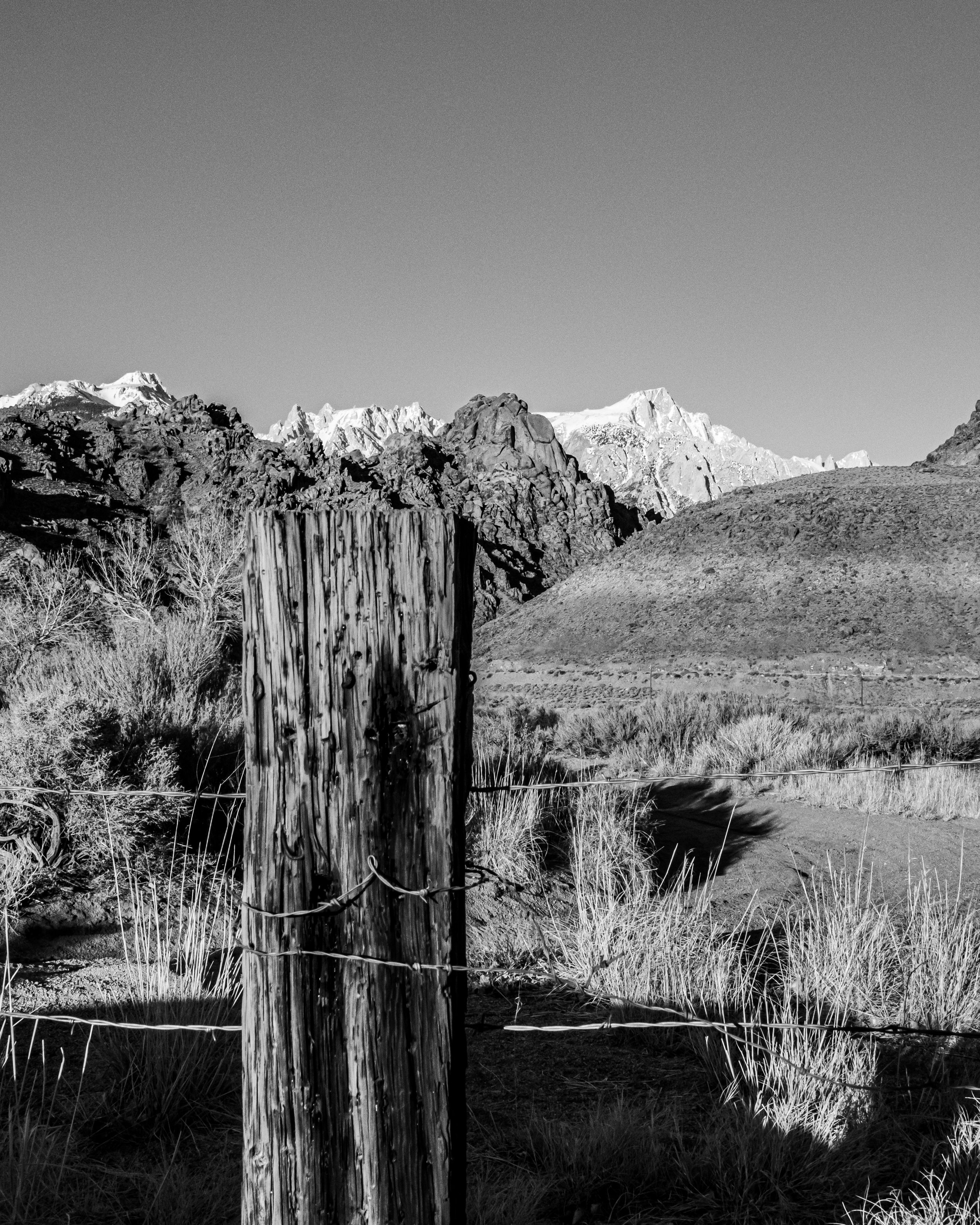 Fence Post and Sierra Nevada Mountains