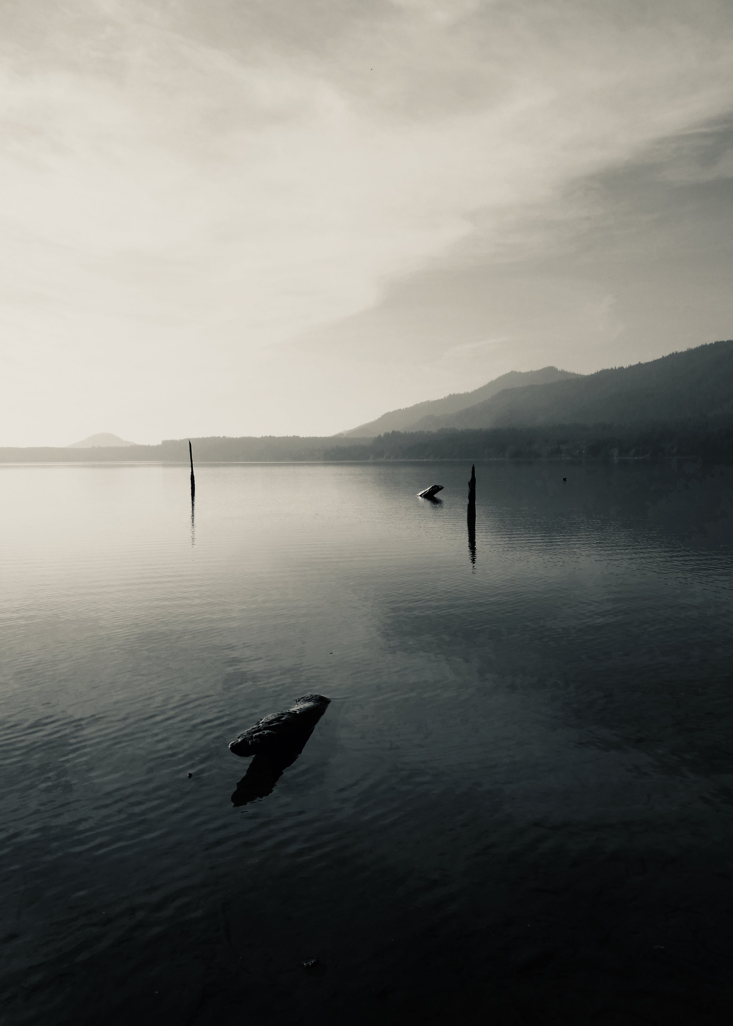 Nostalgic, Calm Lake Quinault B&W,