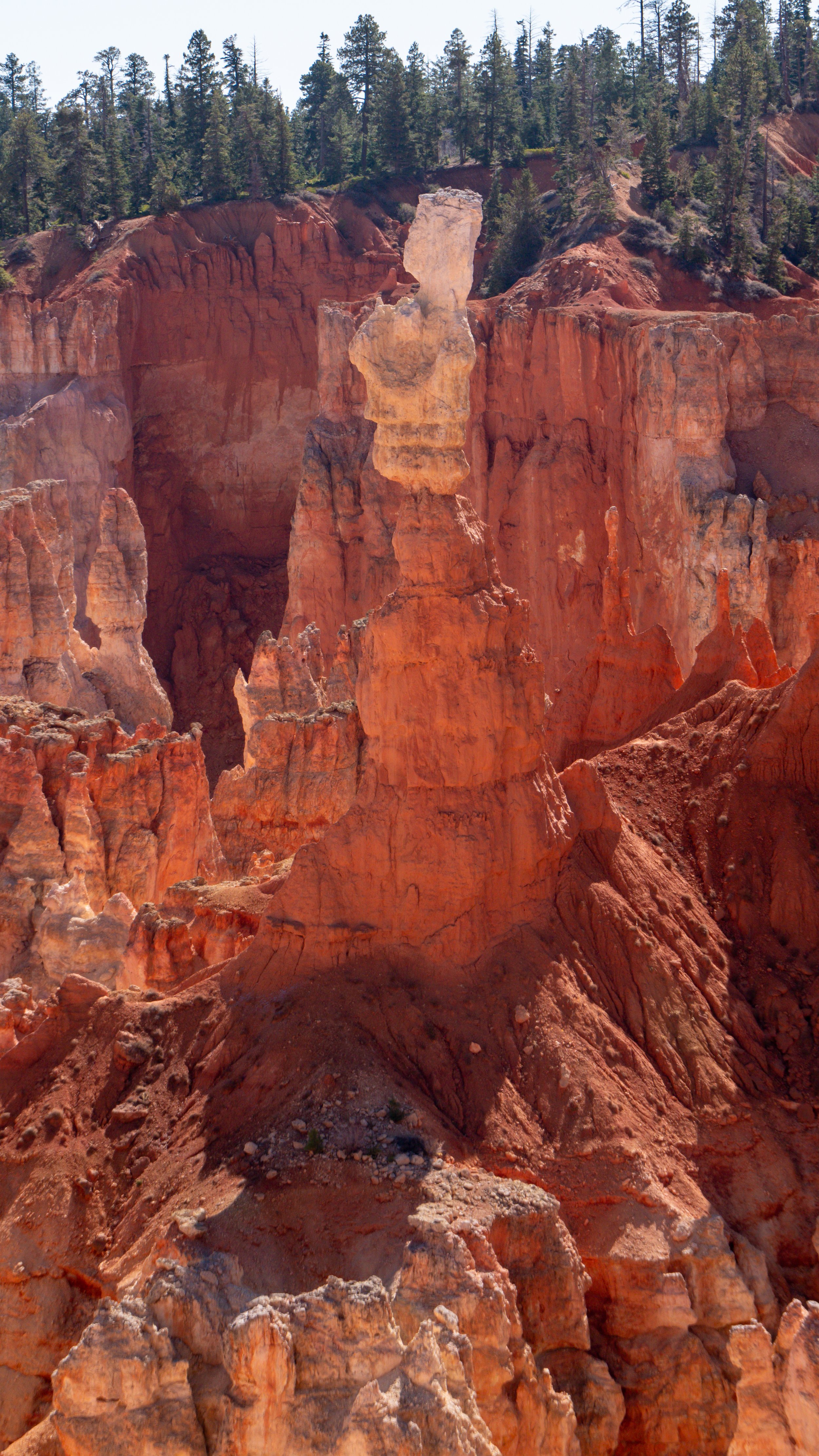 Column Among Trees and Hoodoos in Bryce Canyon 16X9