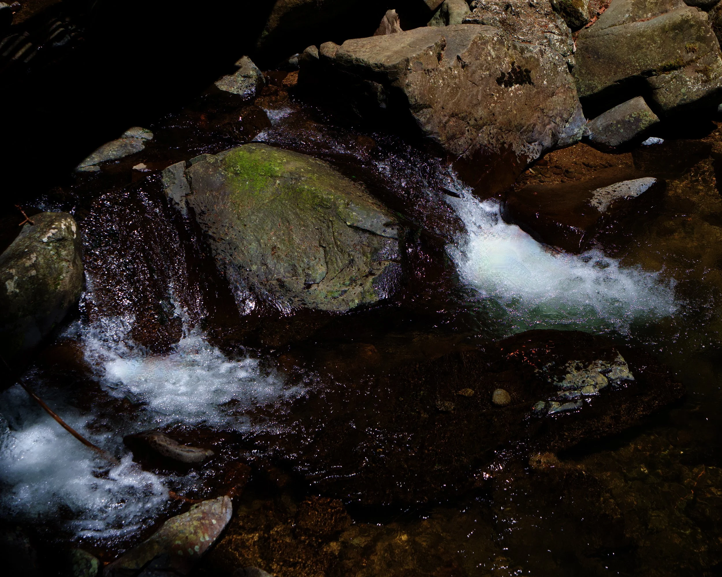 Mountain Creek Flowing Through Oregon Cascade Forest