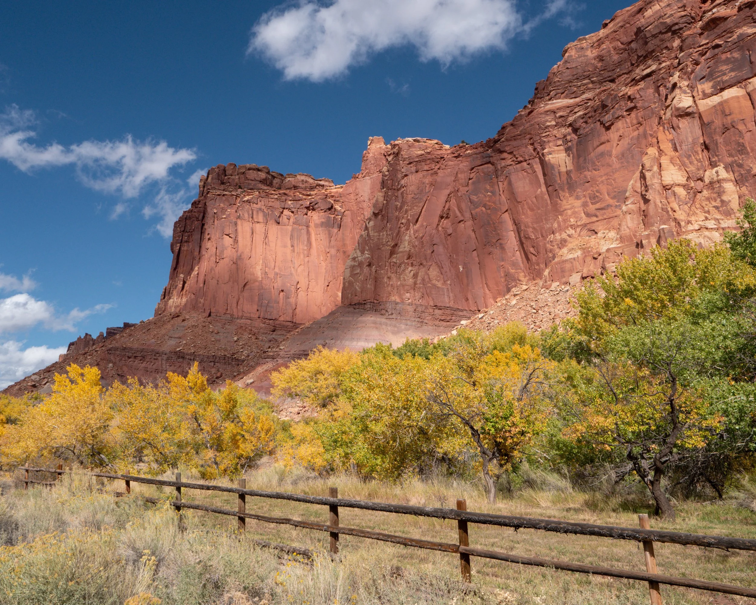 Capitol Reef National Park Fall 
Colors