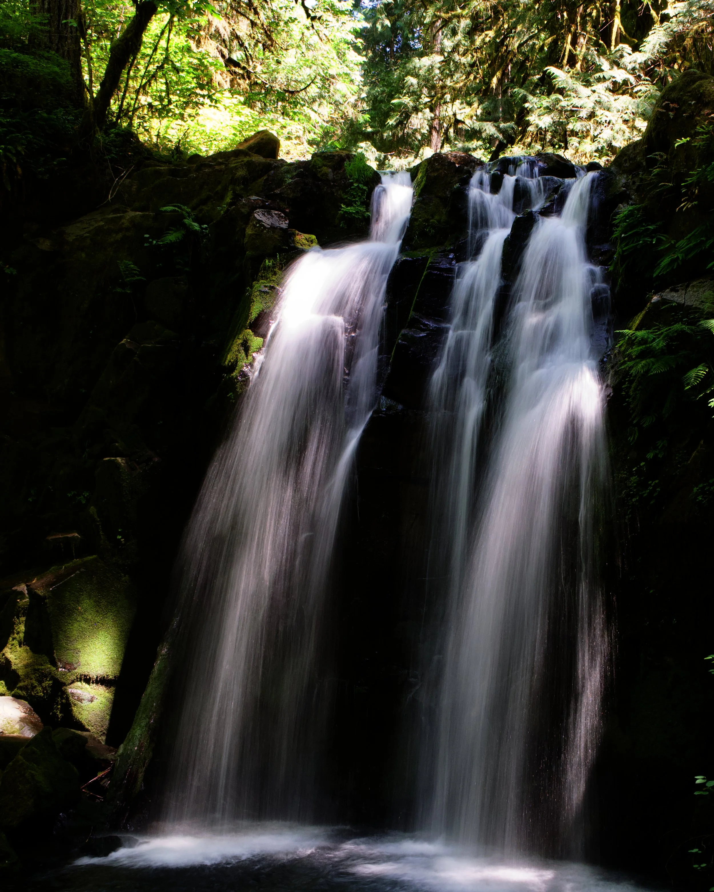 Majestic Falls in McDowell Creek County Park, Oregon