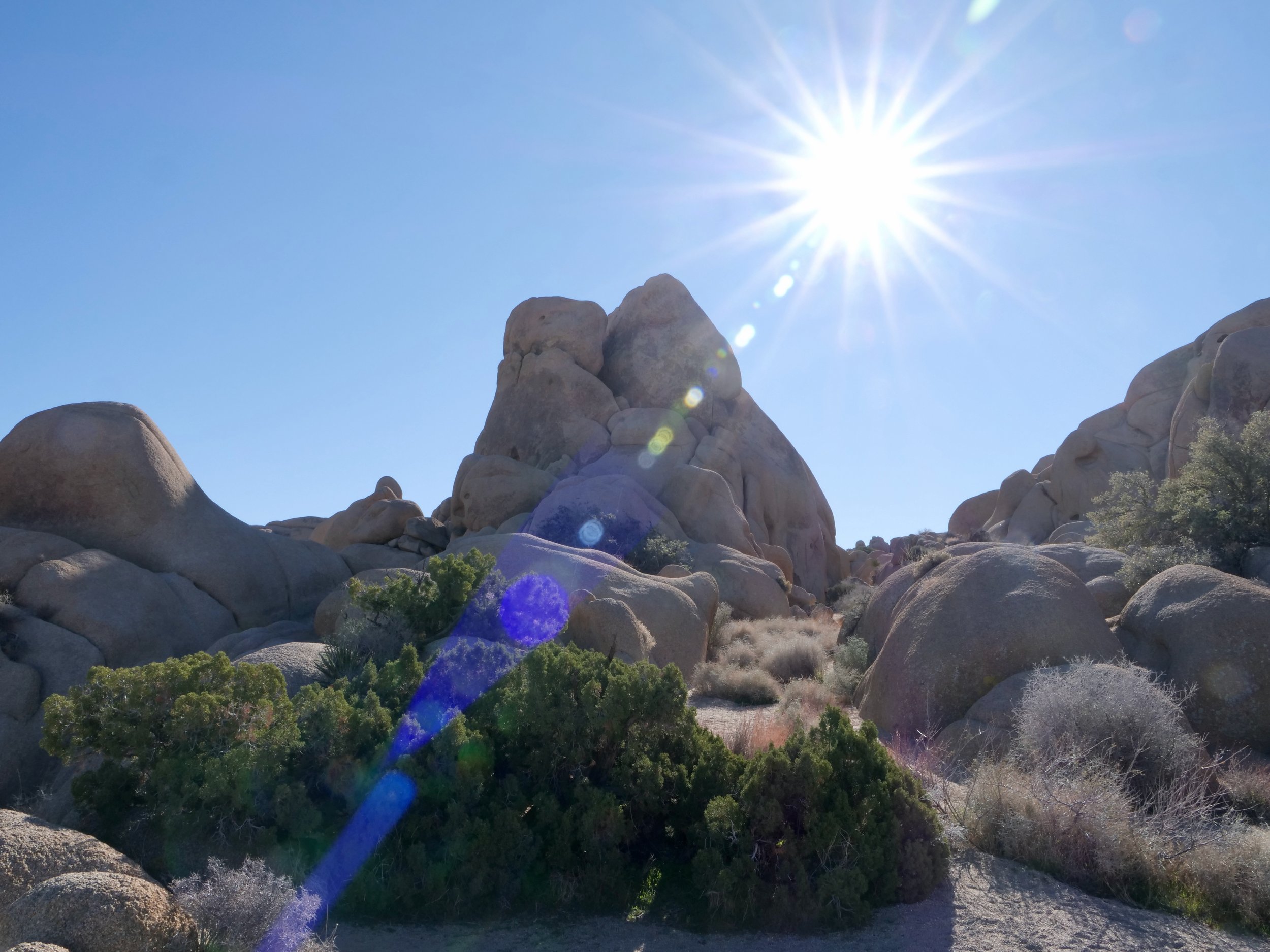 Desert, Joshua Tree Nat. Park, rock formations, unique lens flair
