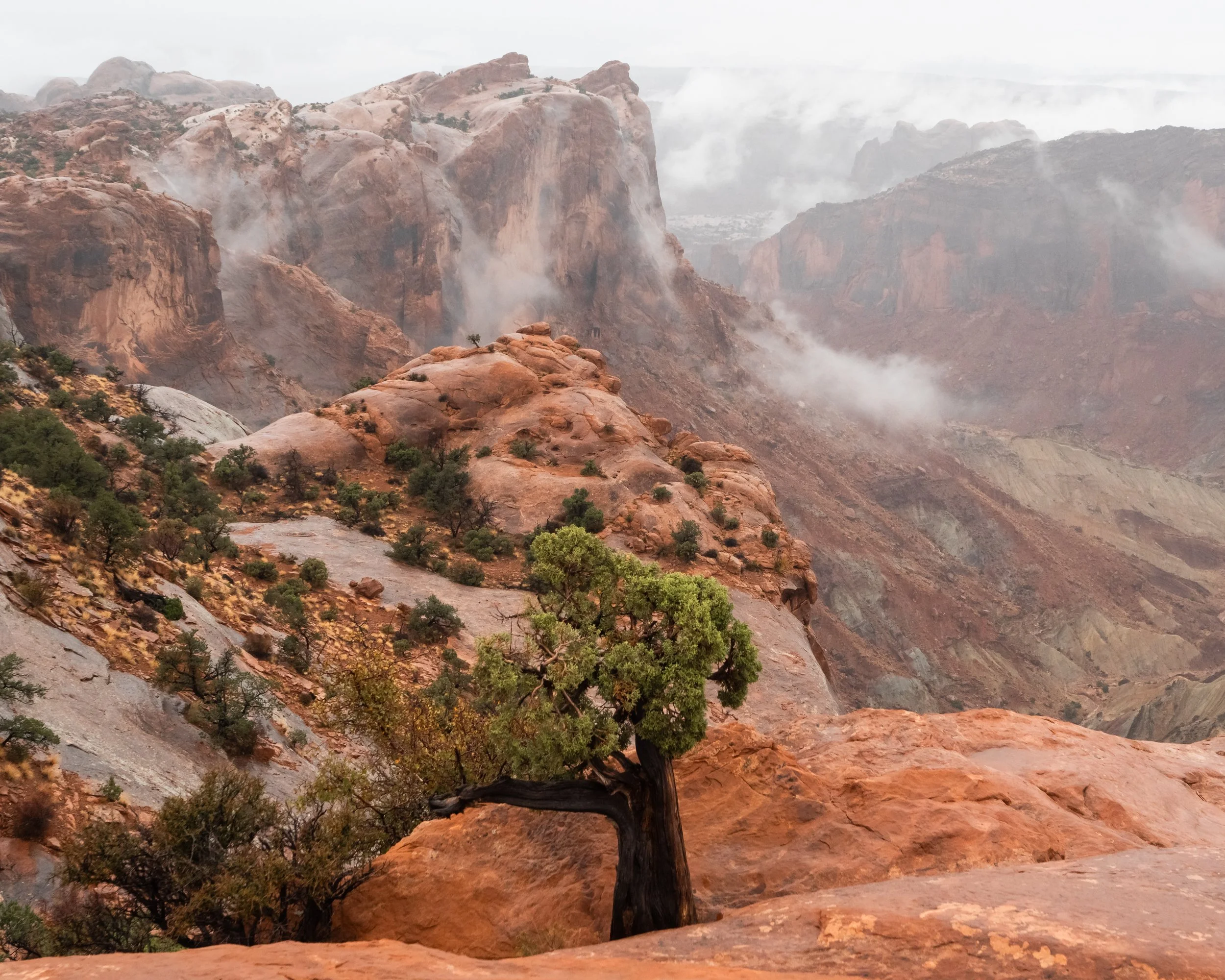 Lone Pine, Canyonlands National Park