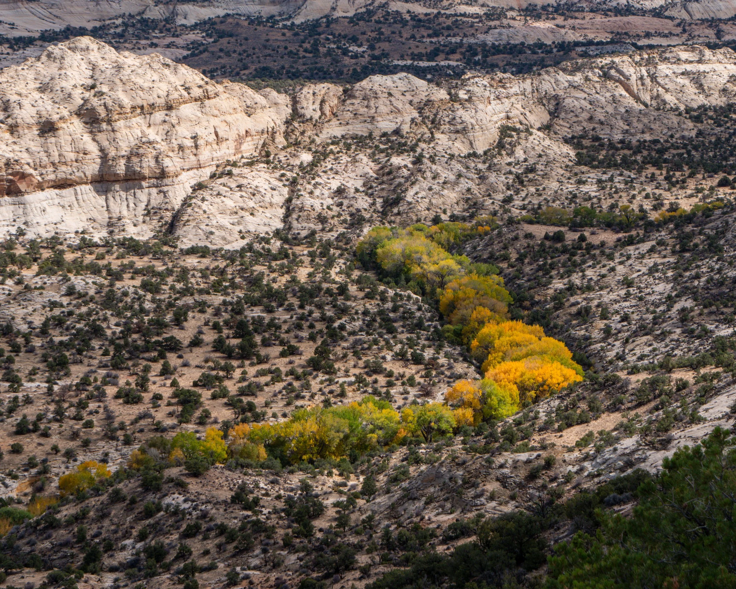 Grand Staircase-Escalante National Monument⁩, ⁨Boulder⁩ Utah