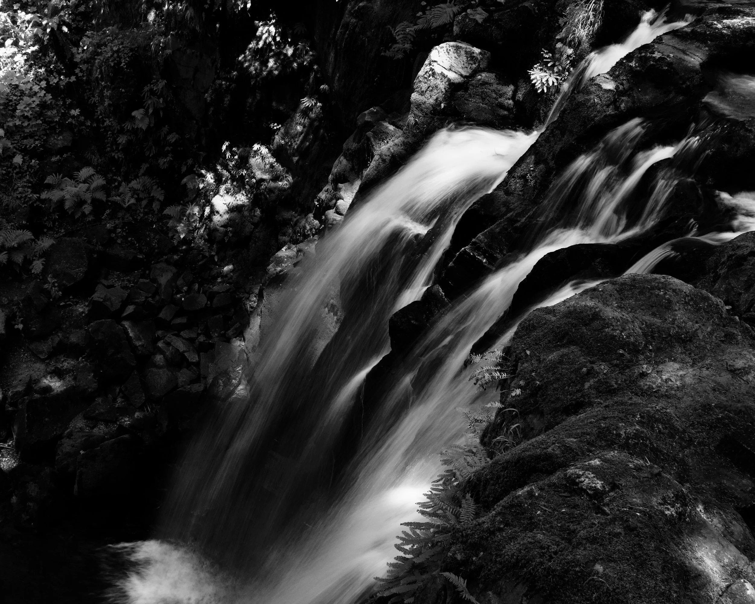 Black and White Long Exposure Waterfall in Oregon Forest