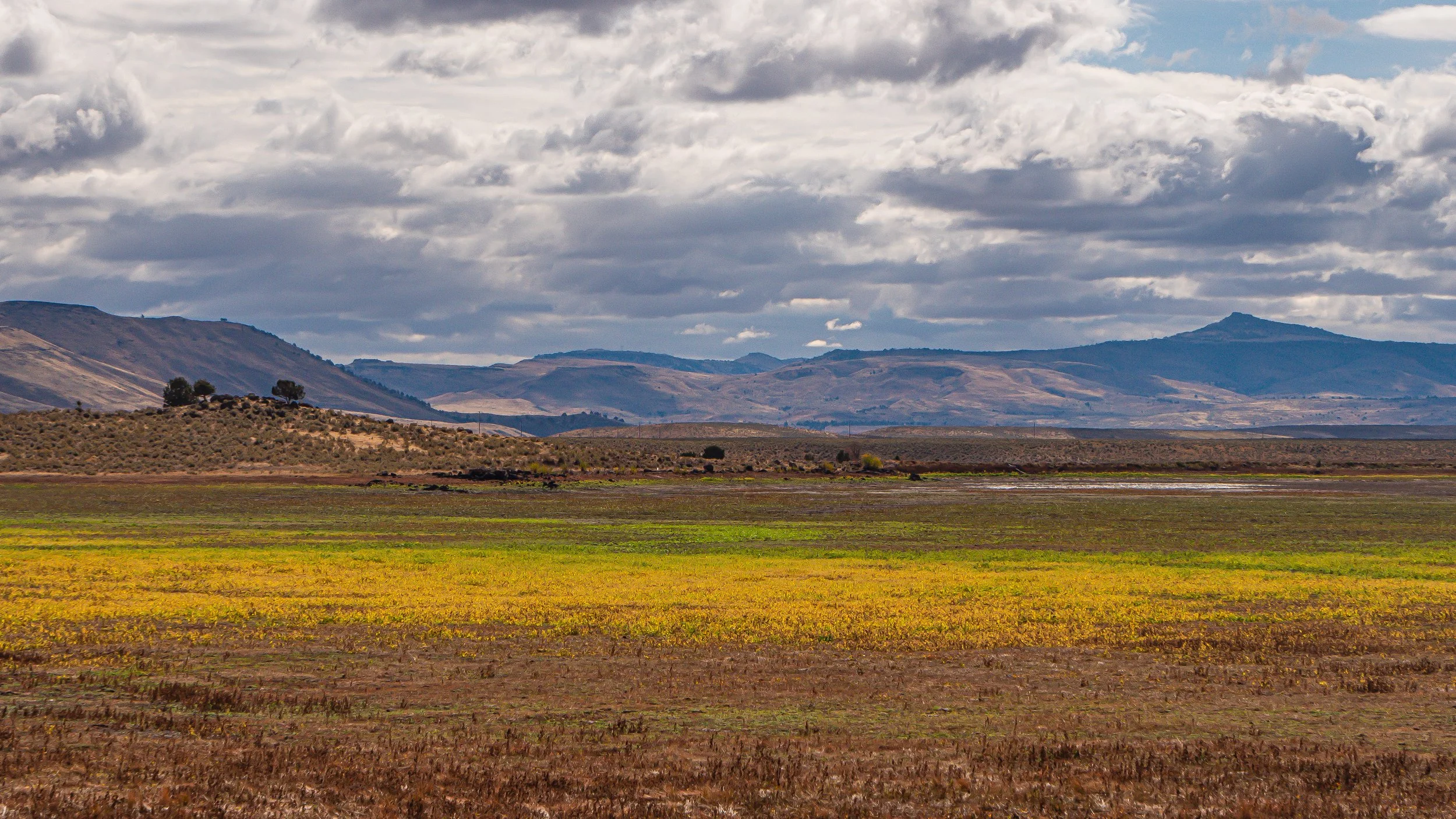 Paire Near Burns Oregon 16X9