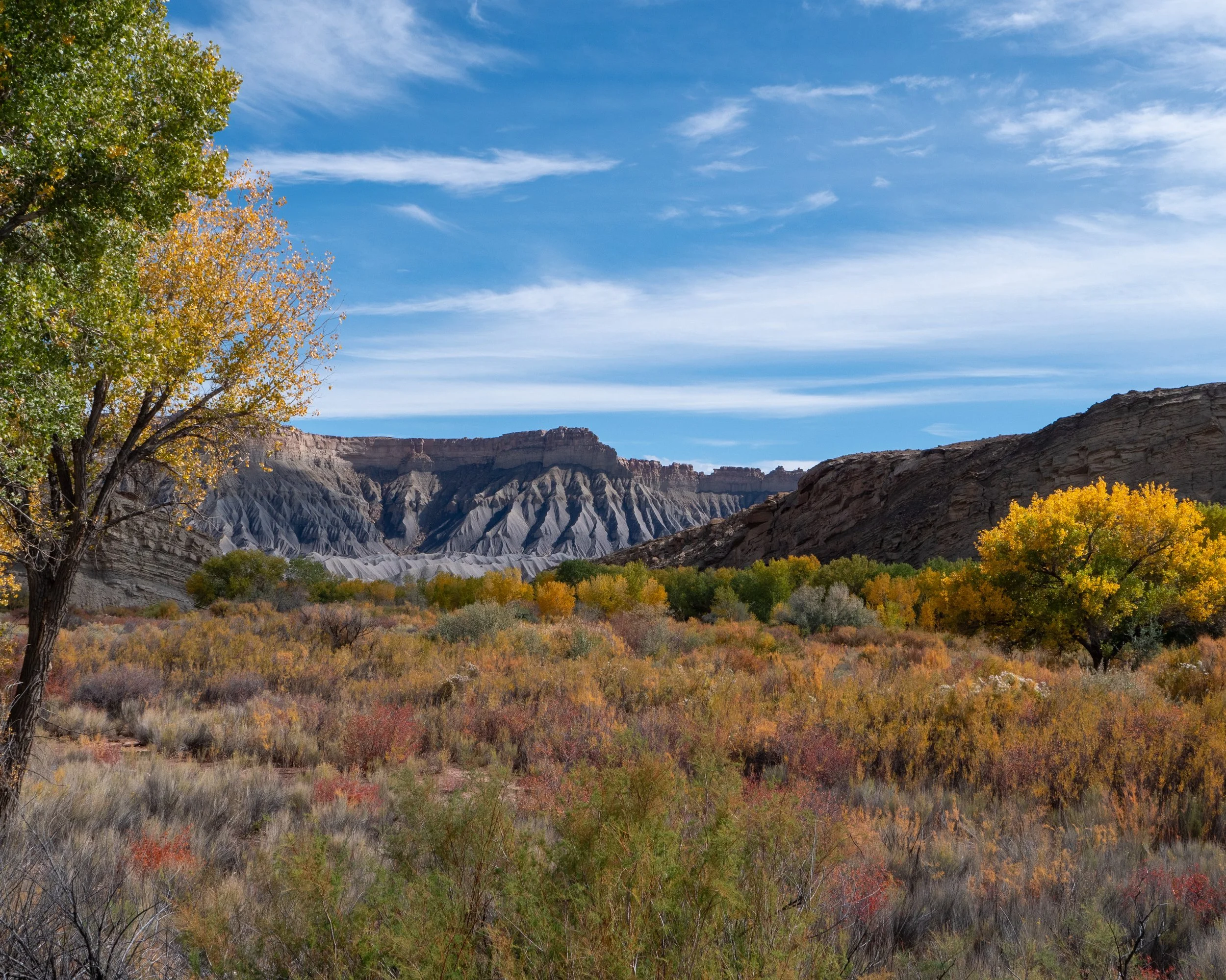 Fall Foliage Goblin Valley