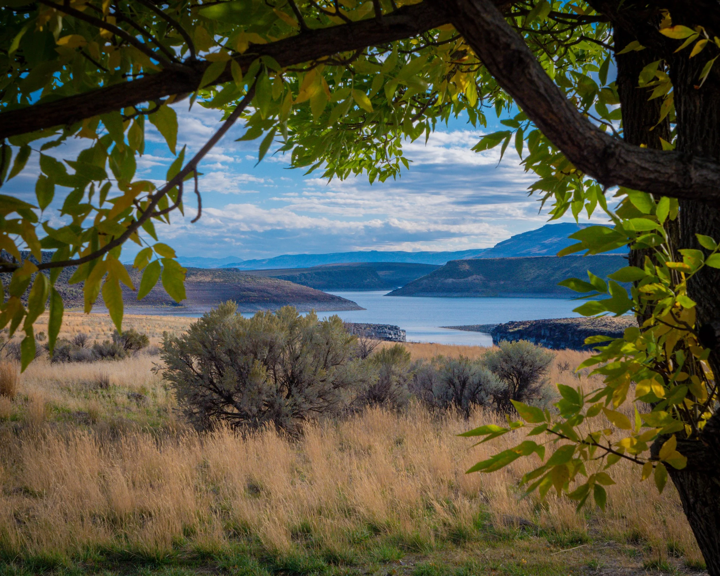 Salmon Falls Reservoir