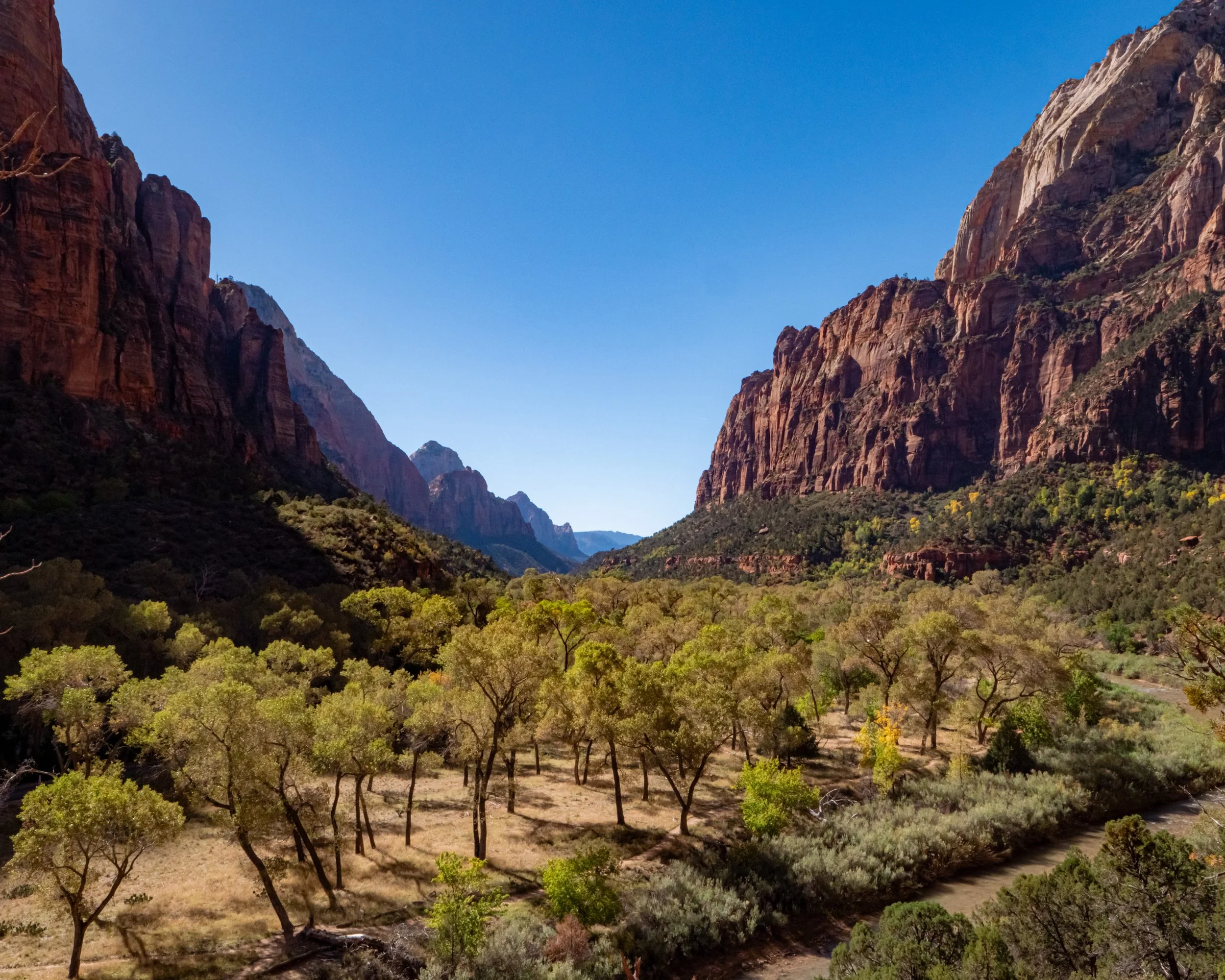 Zion National Park the Valley and Virgin River