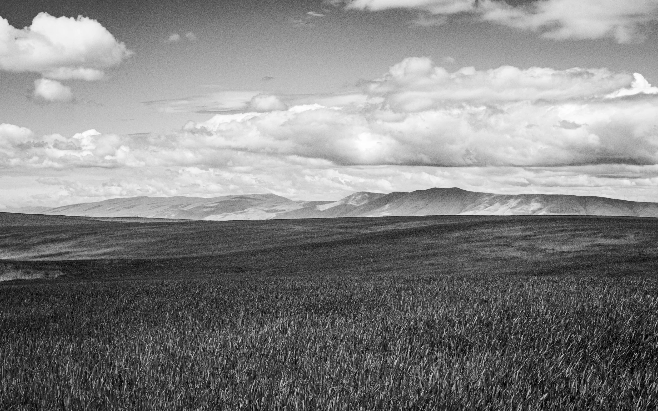 Wasco County Field and Mountains 16X9