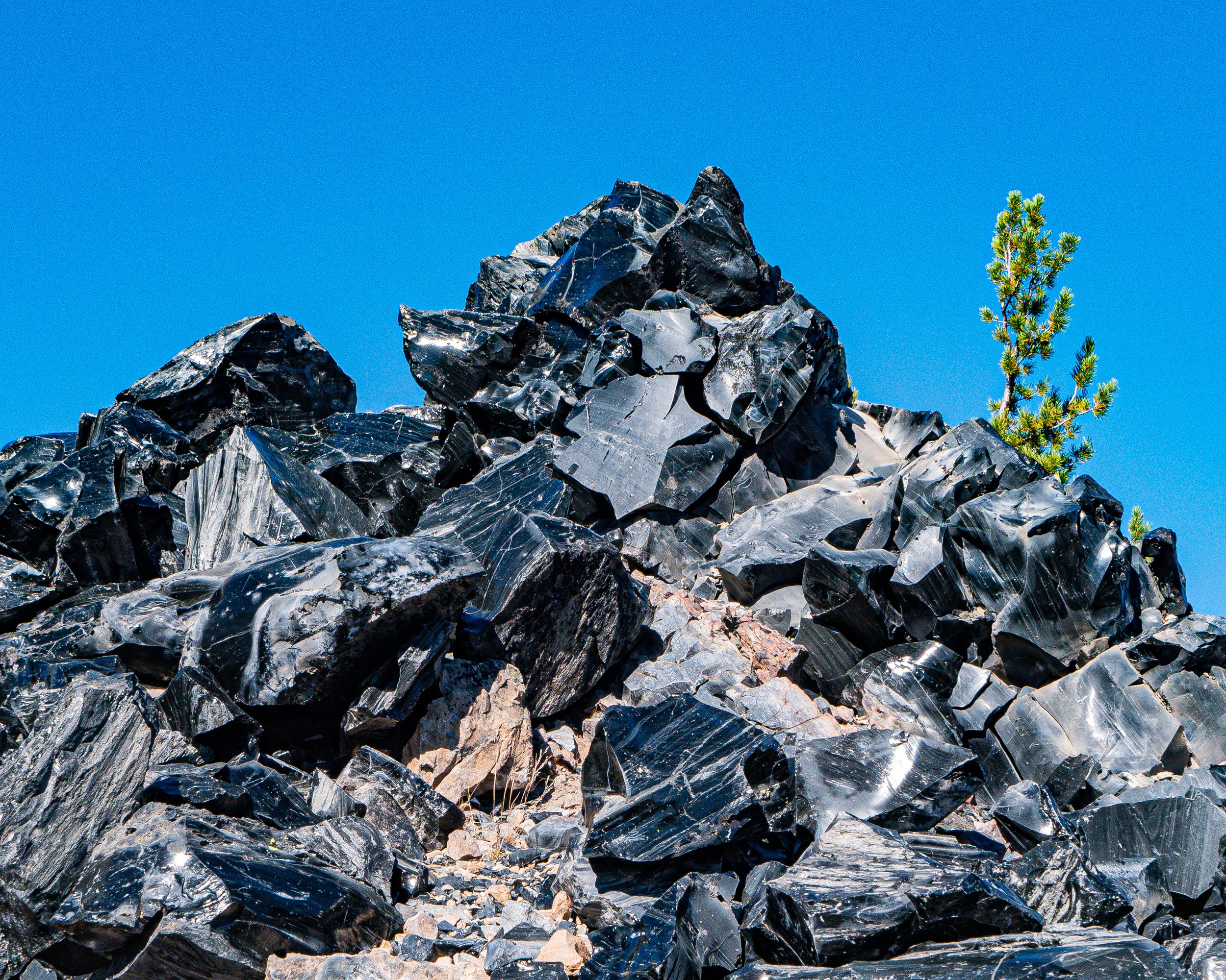 Dark Obsidian Flow and Tree