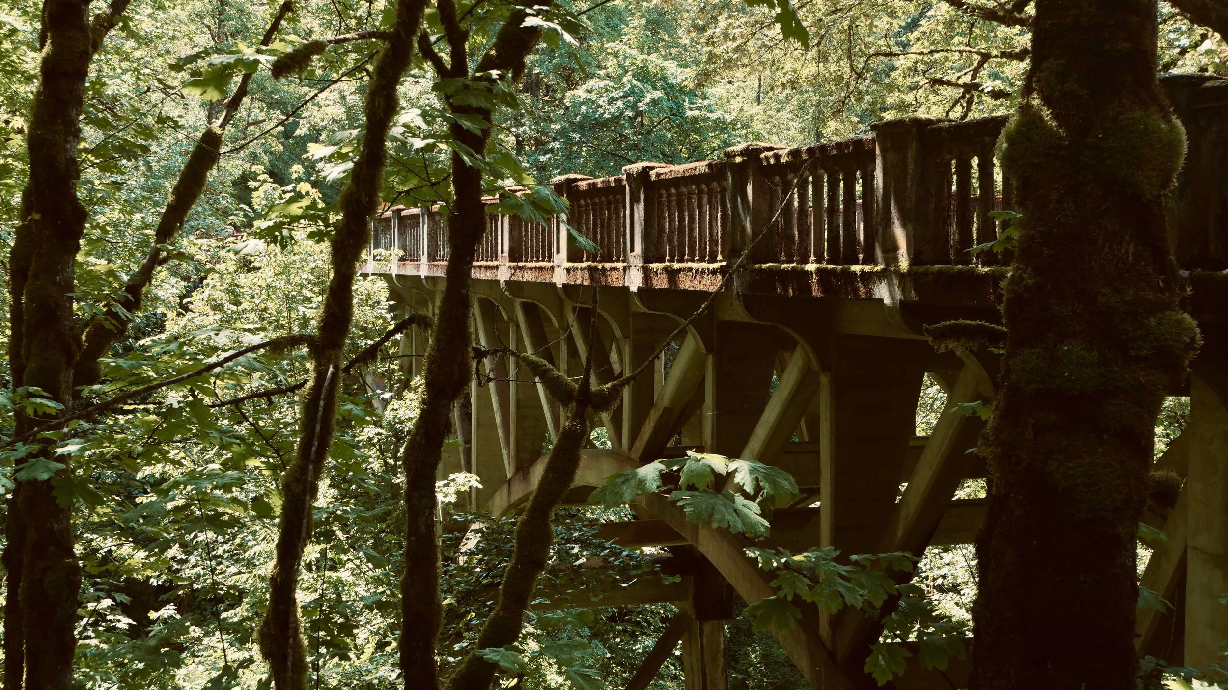 Historic Highway Bridge in the Columbia Gorge 16X9