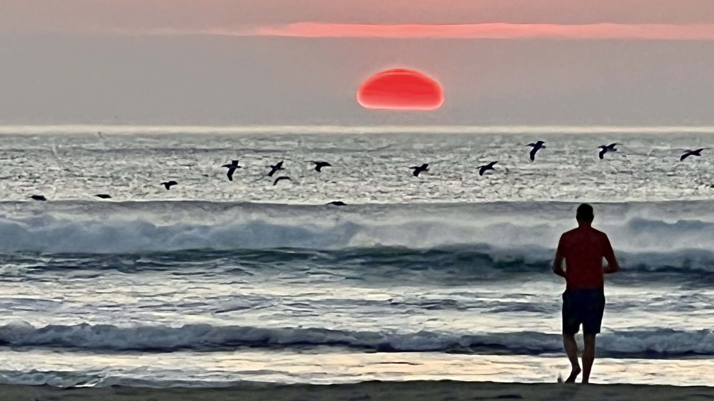 Silhouette of Man on Beach at sunset with Pelicans cruising the waves 16X9
