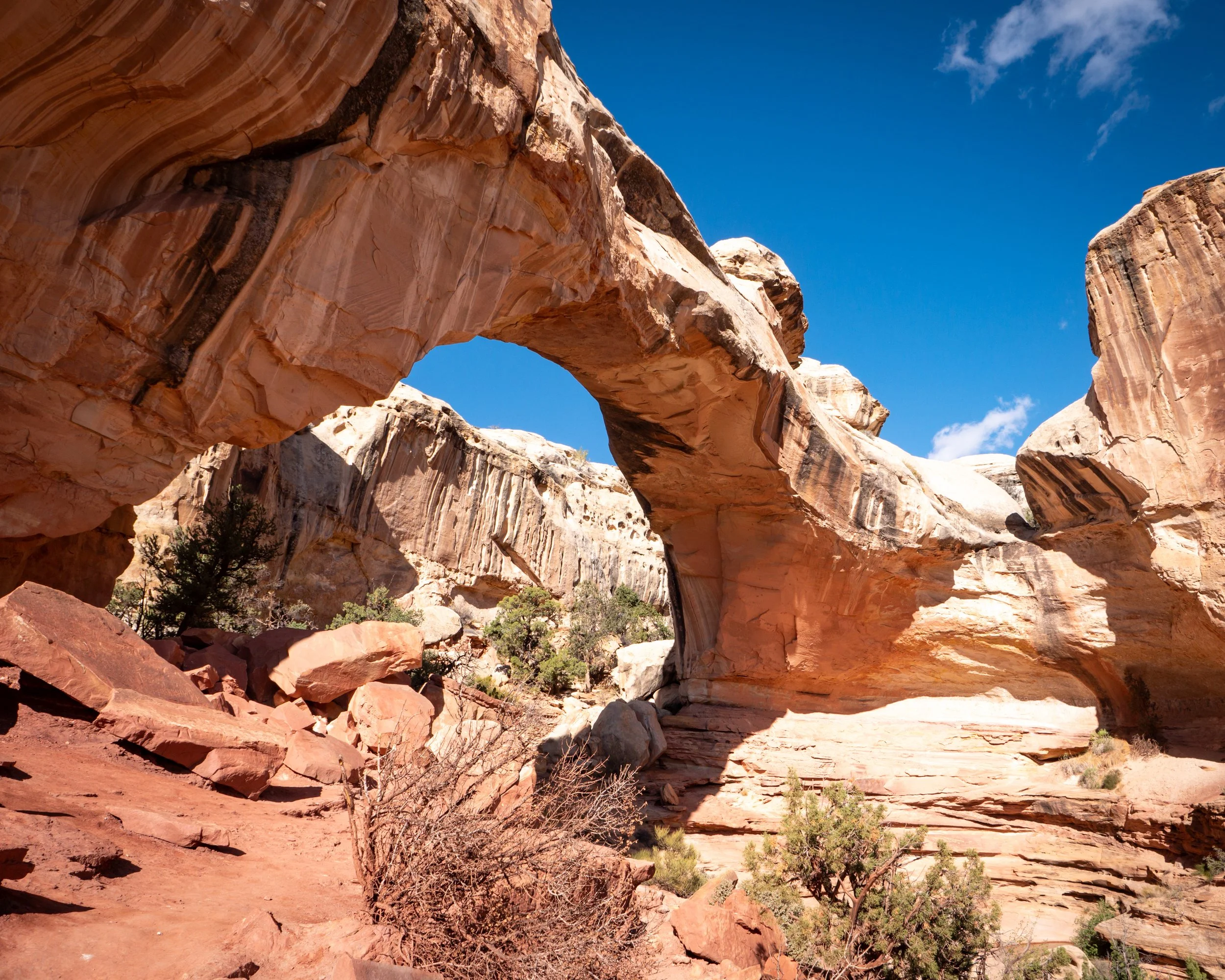 The Hickman Natural Bridge 1