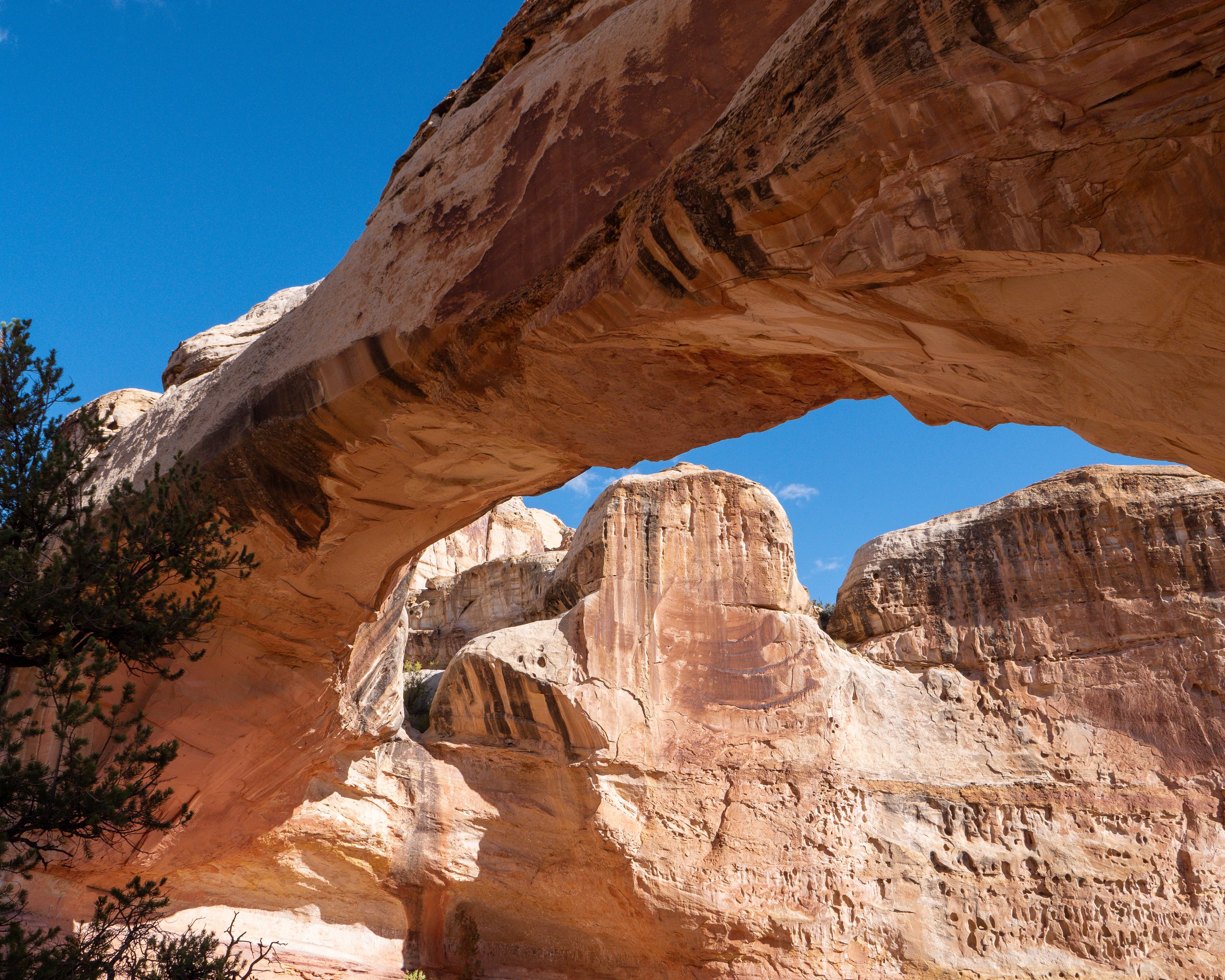 The Hickman Natural Bridge 2