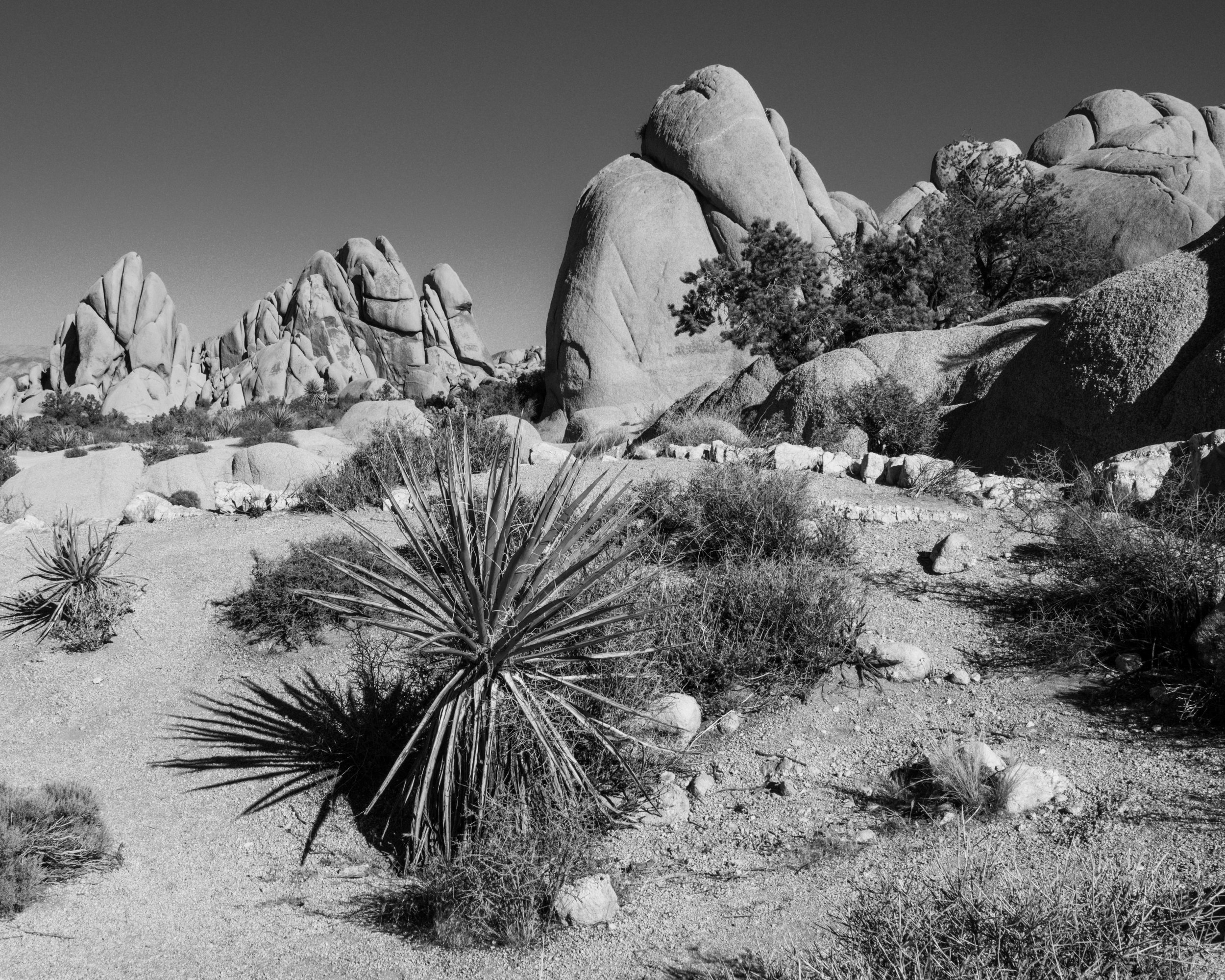 Yucca and Bolder Formations