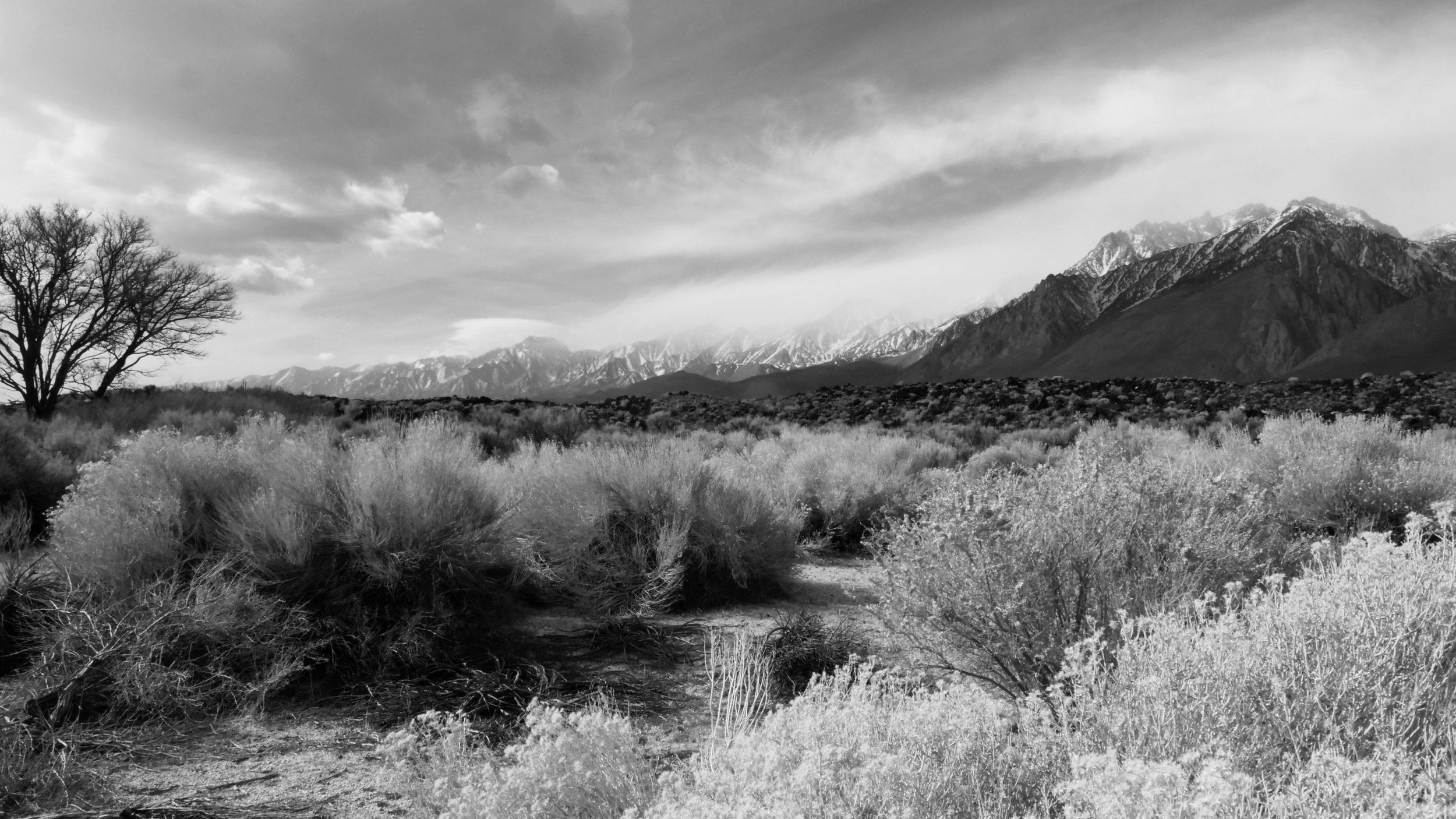 16X9 B&W Sierra Nevada Mountains and desert