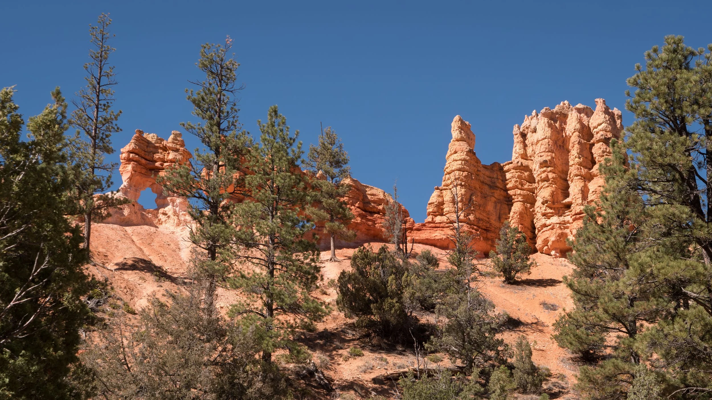 Bryce Canyon Hoodoos 16X9 9.8mb 