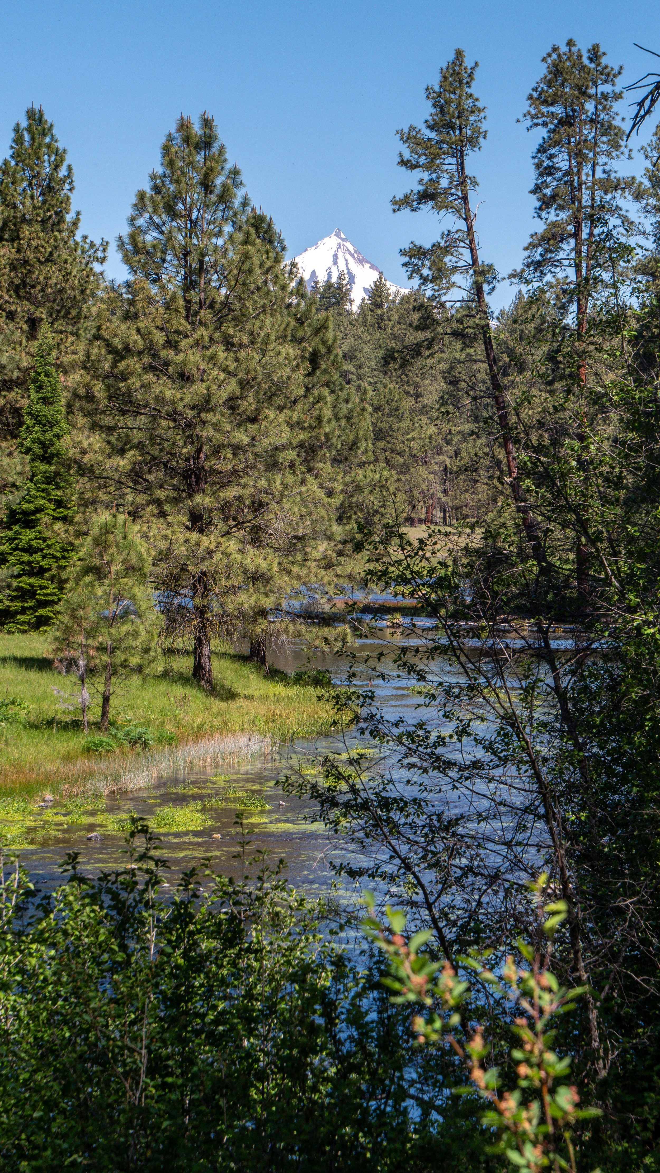 Headwaters of the Metolius River 16X9