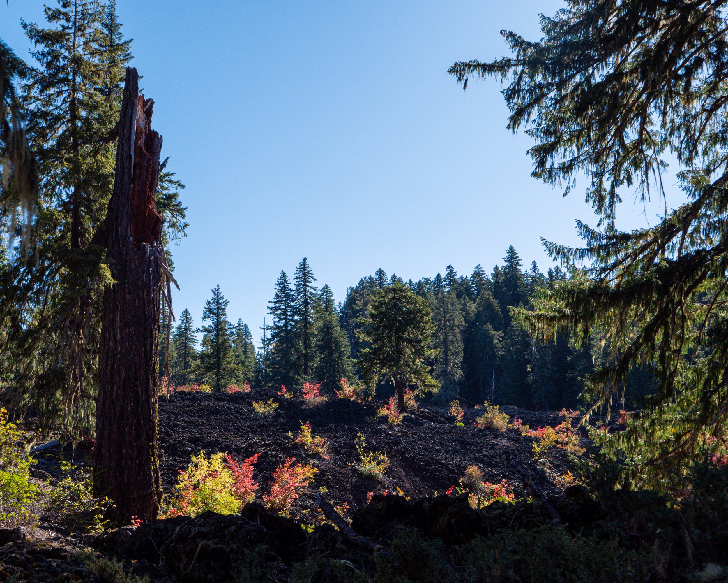 Clear Lake Lava Flow with Fall Colors