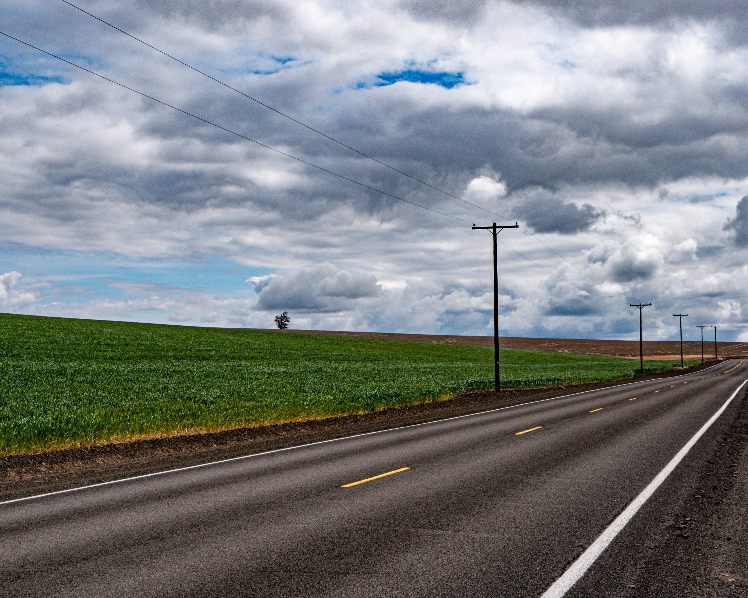 Wasco County Field and Road