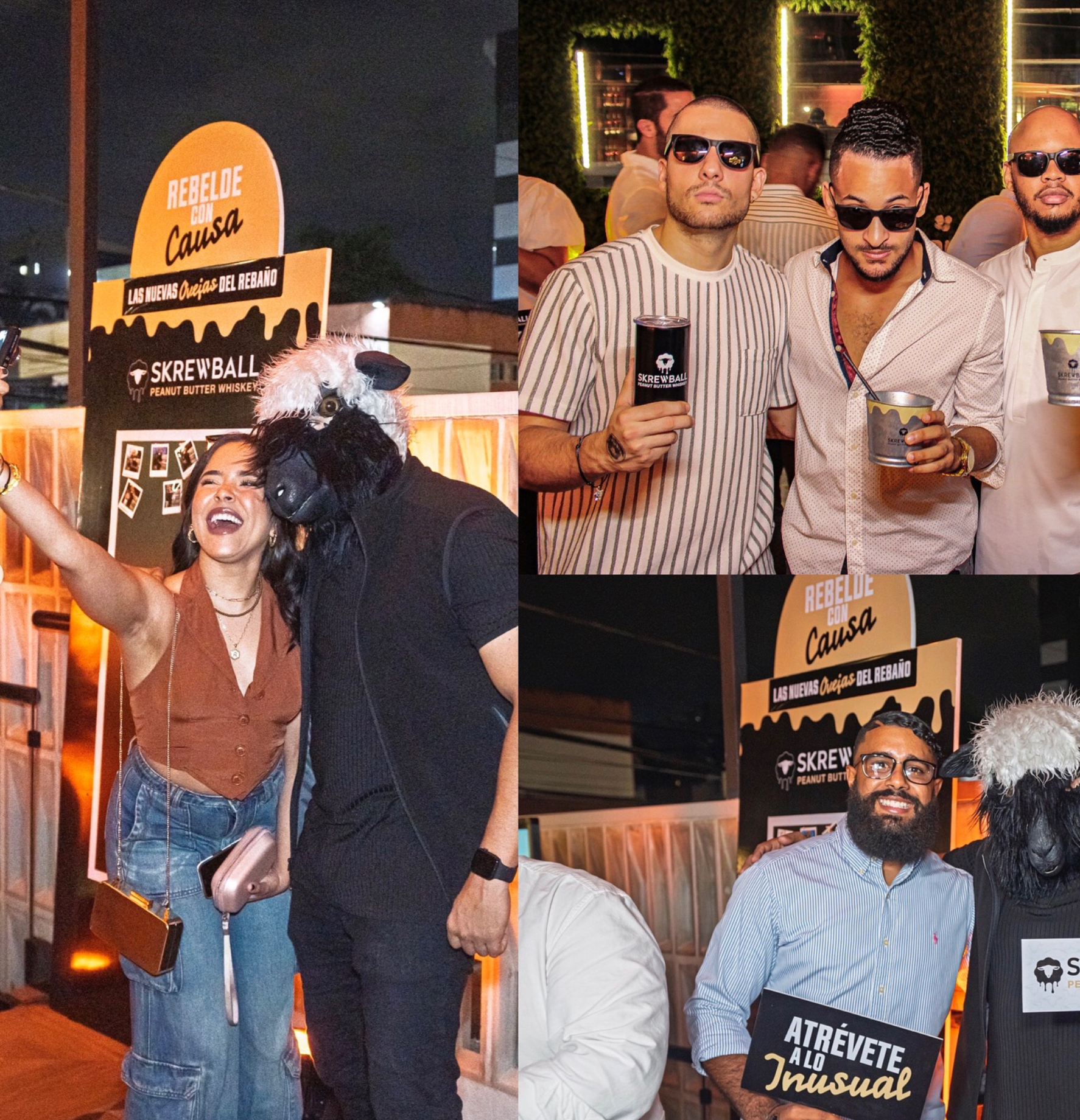 Screenshot 2026-02-26 113120.png