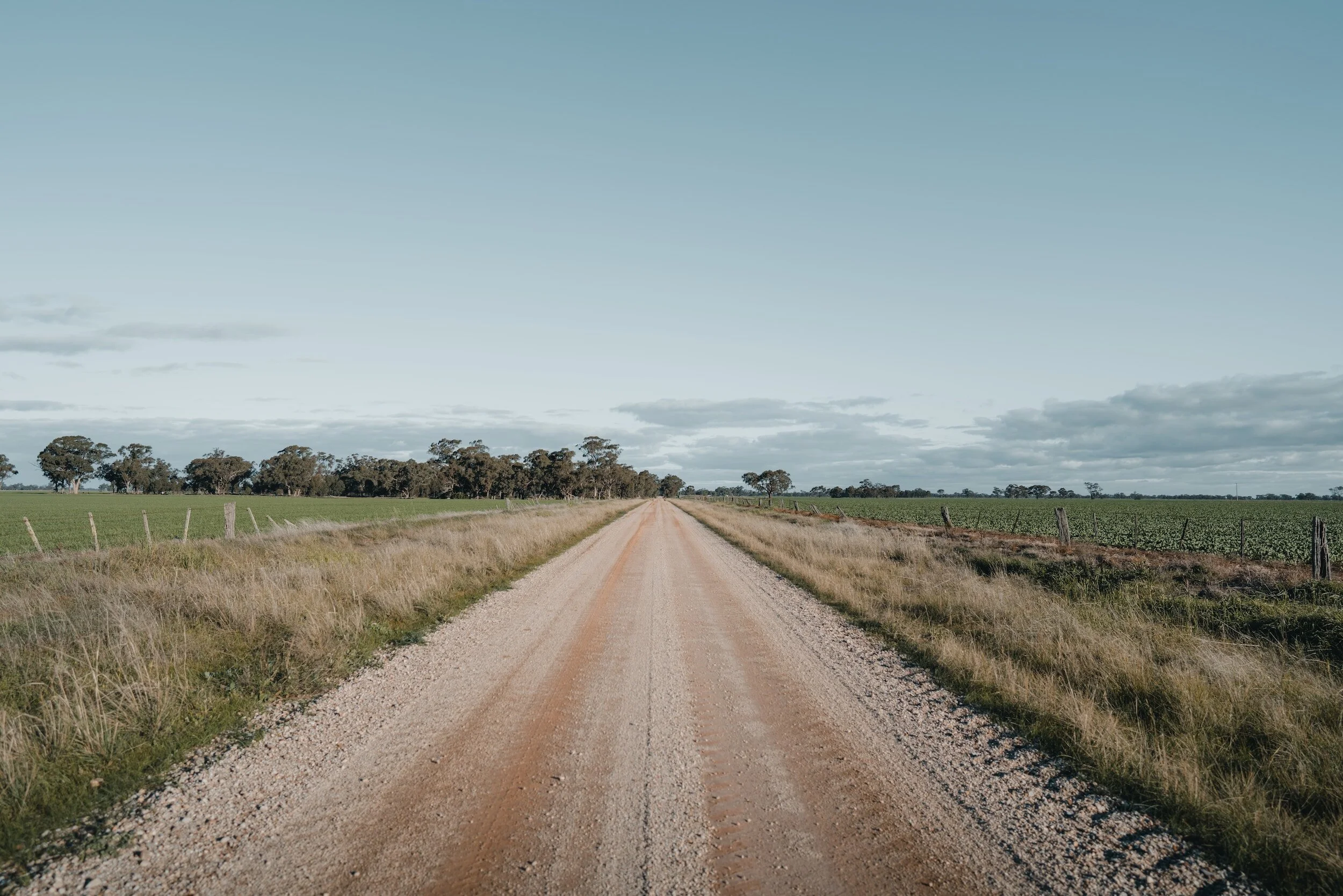 Rural dirt road with grassy fields and trees on either side under a cloudy sky.