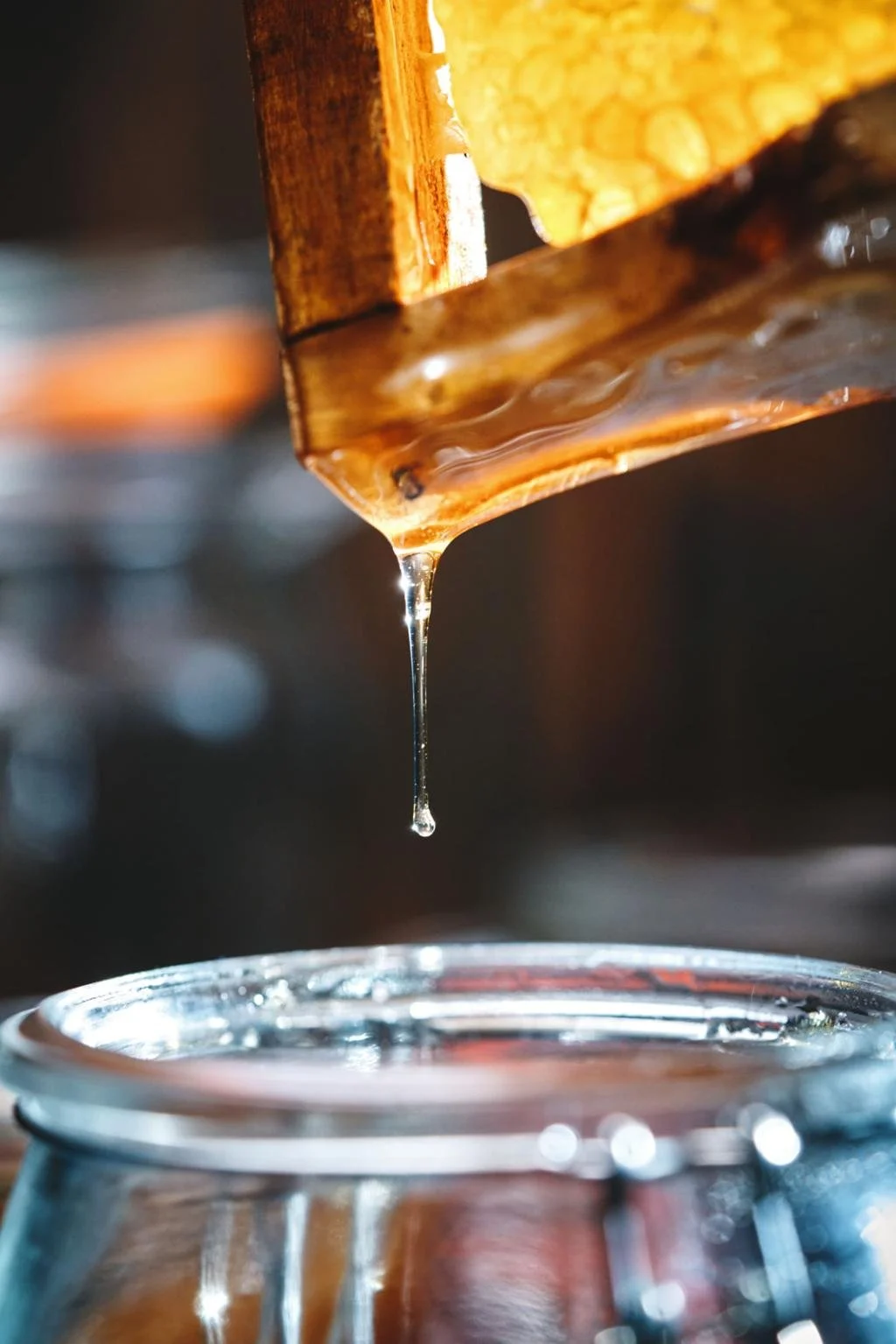 The Sweet Tradition of Honey Harvesting