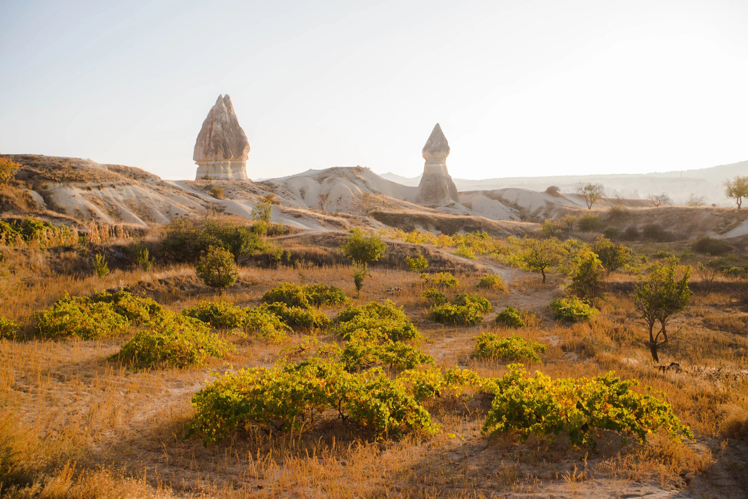 kapadokya1-6-2.JPG