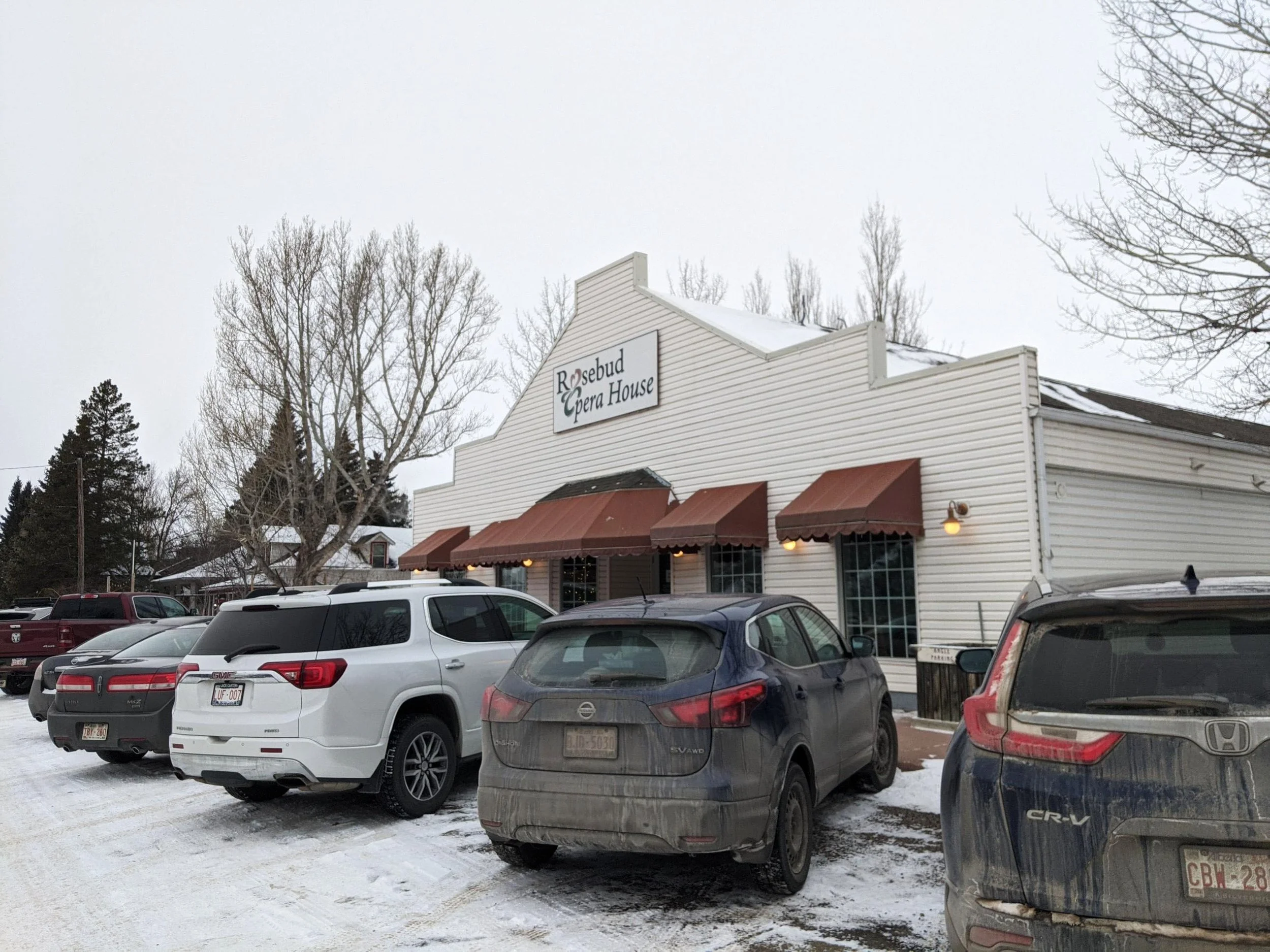 A Rosebud Christmas Adventure — Laura Bachynski