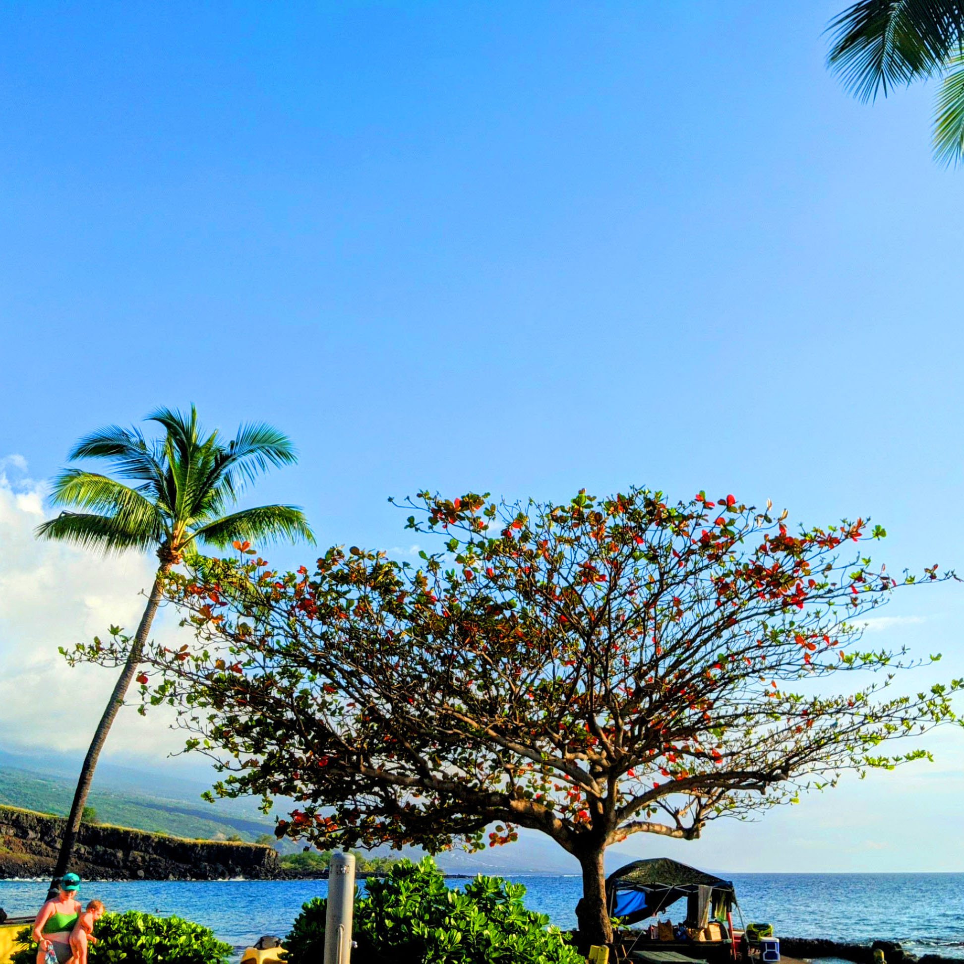Ho’Okena Painting Day #2