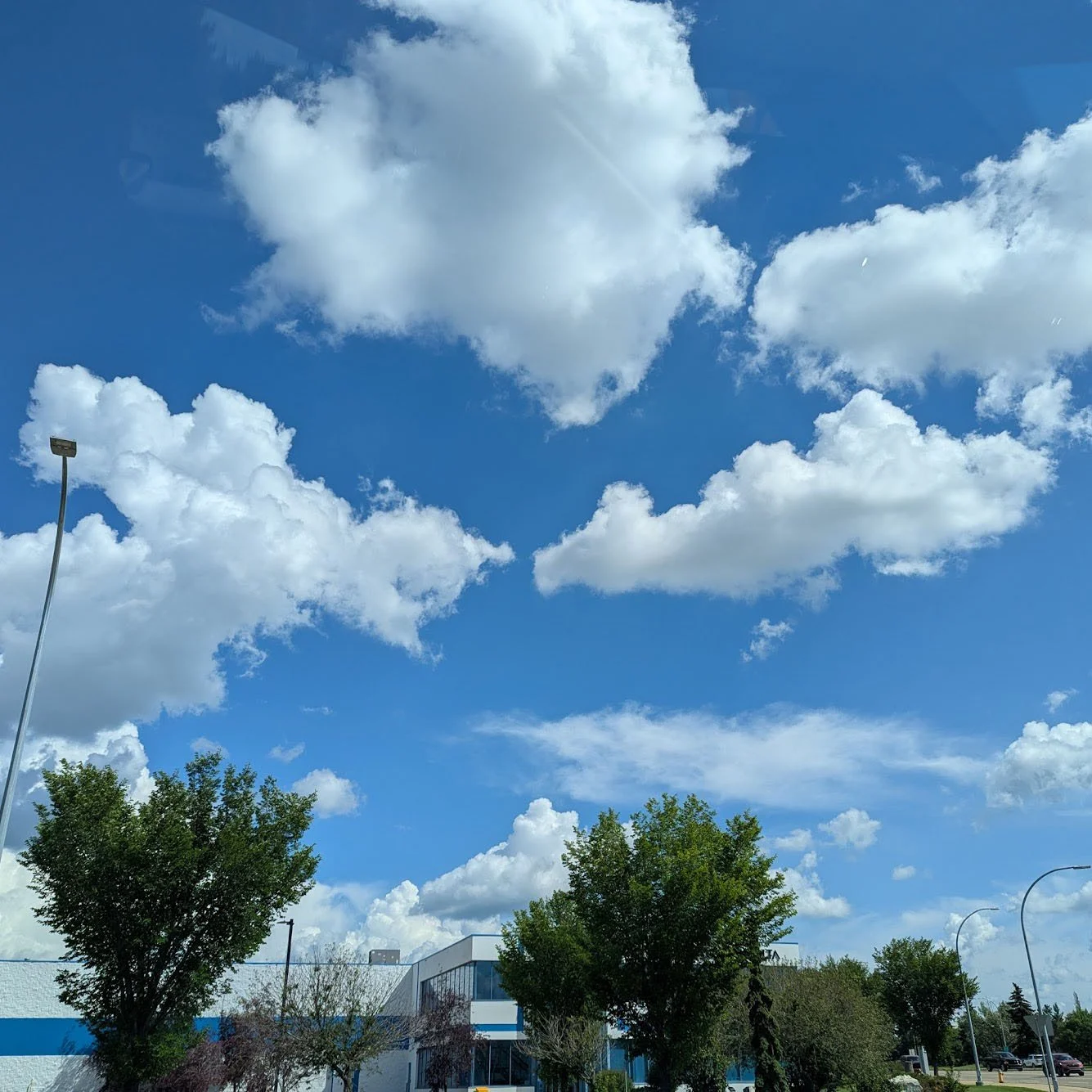 Those Alberta Skies