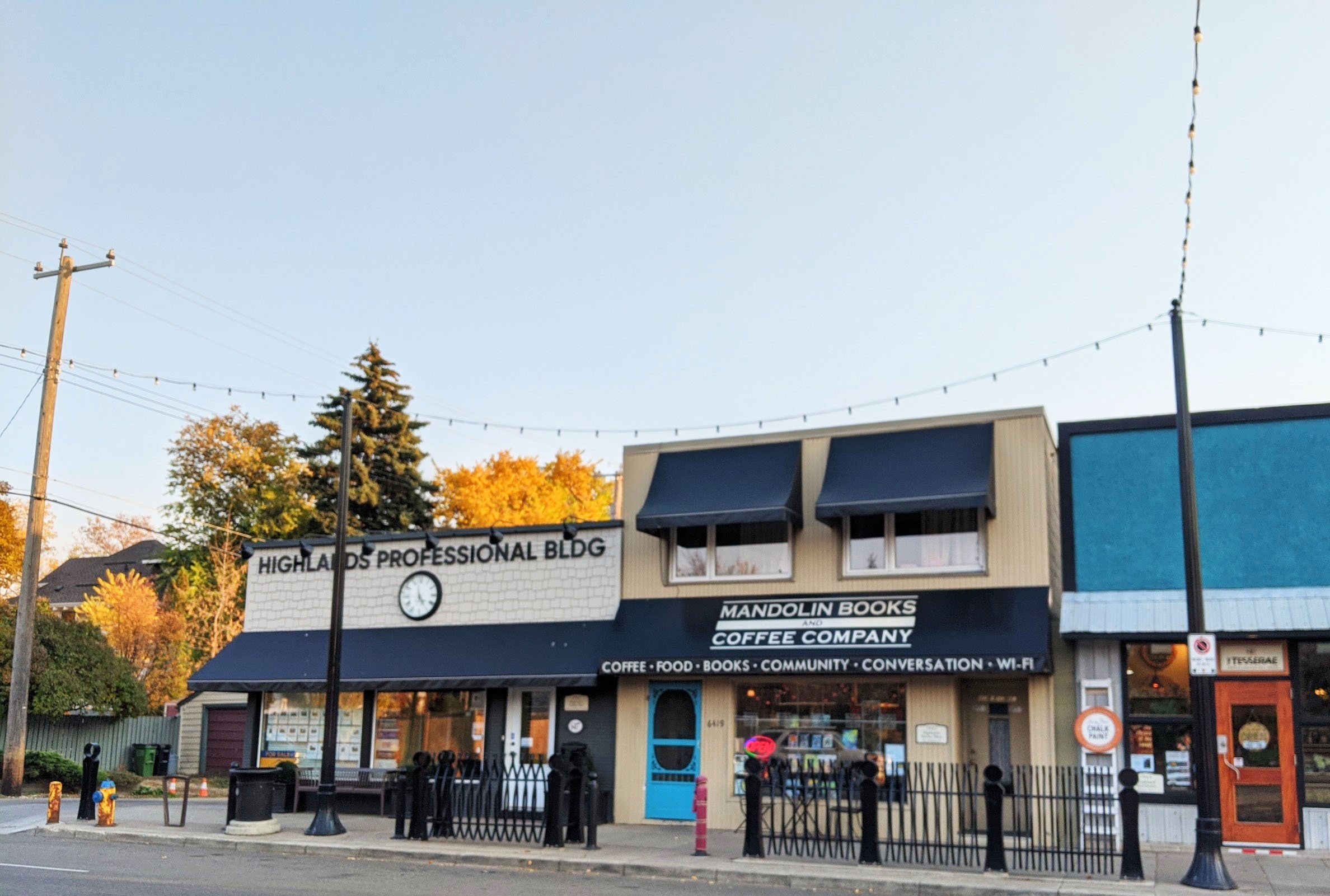 Mandolin Books — Laura Bachynski