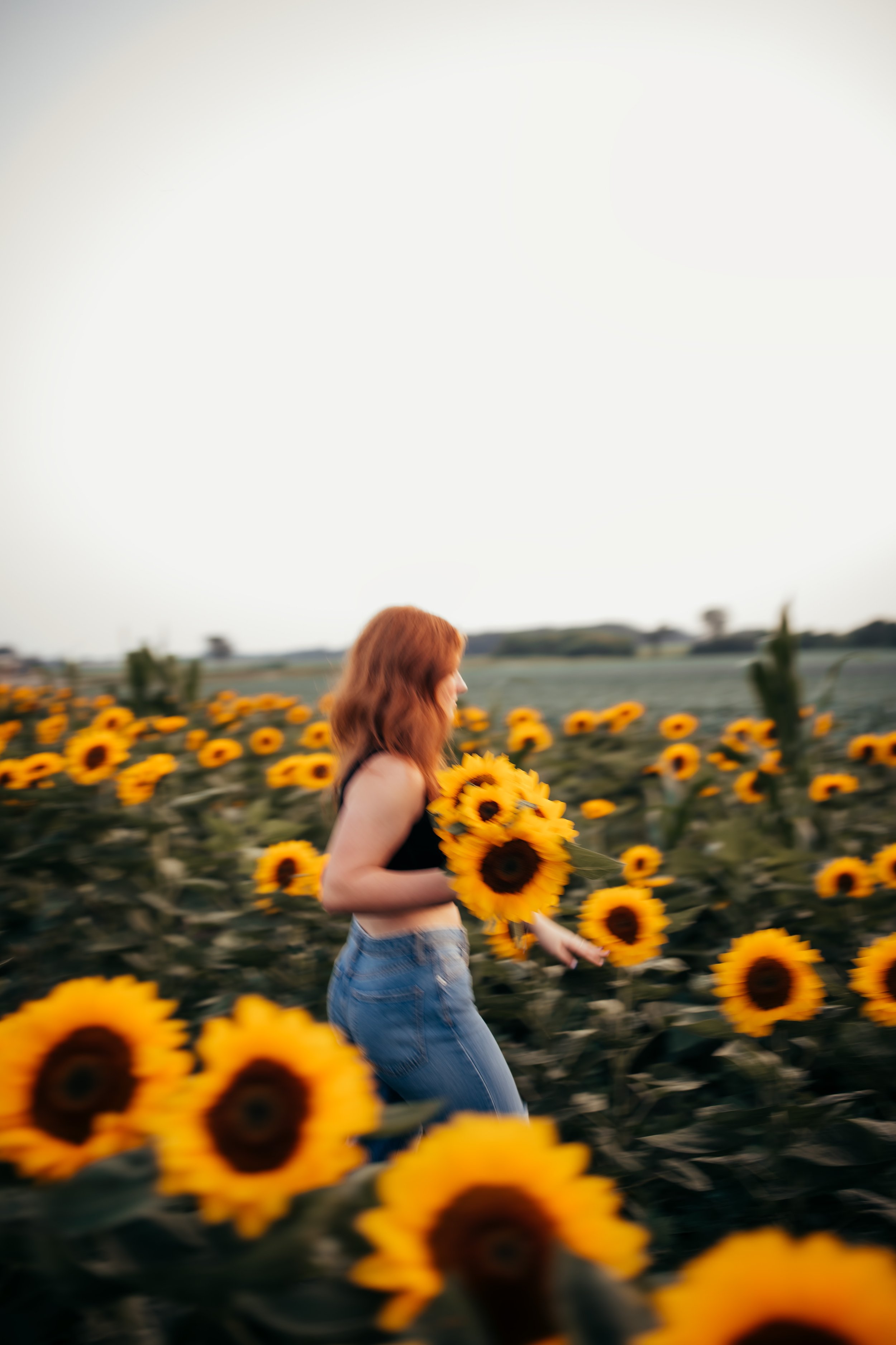 Documentary style portrait session woman walking through a sunflower field during sunset