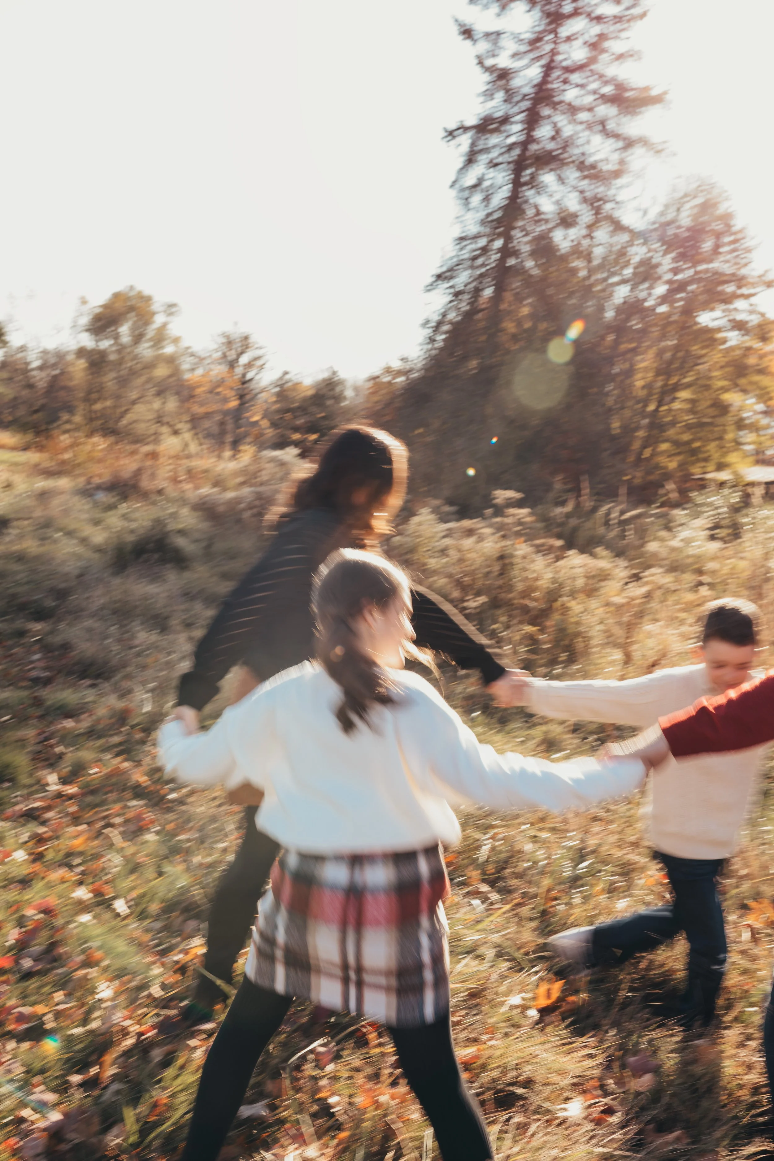 Golden hour photo of family holding hands and walking in a circle in a field in Rochester NY