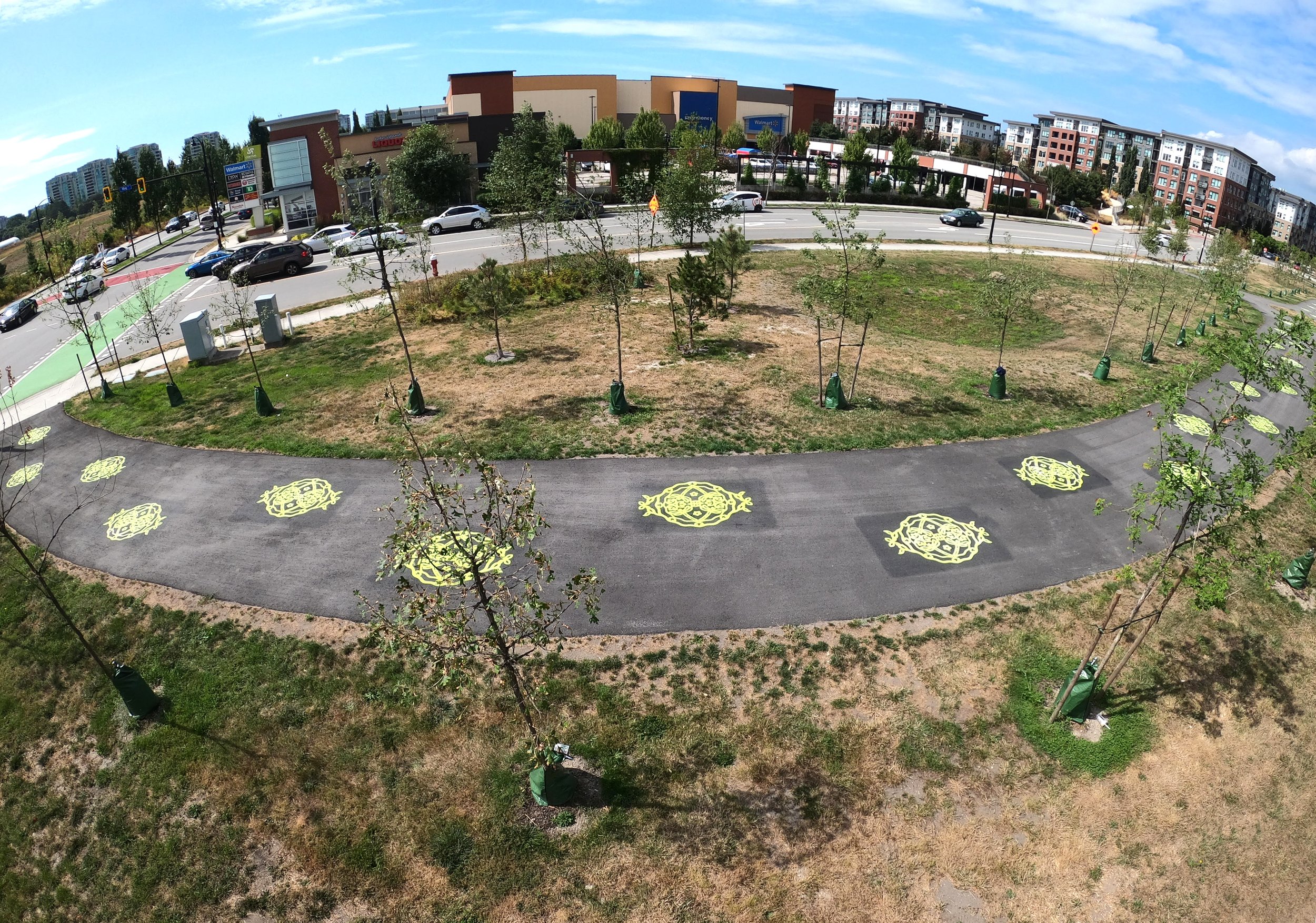 aerial view 1 copy.jpg