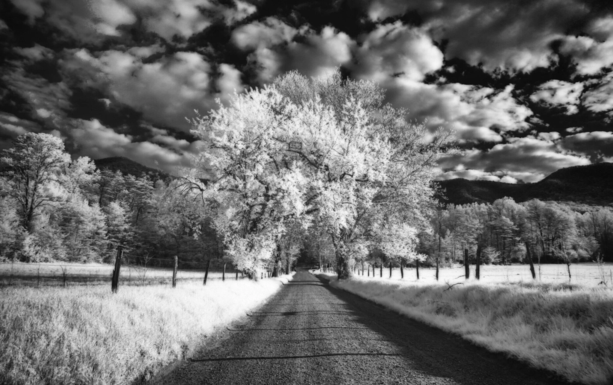 Drive Through, image by Leanne Trivett